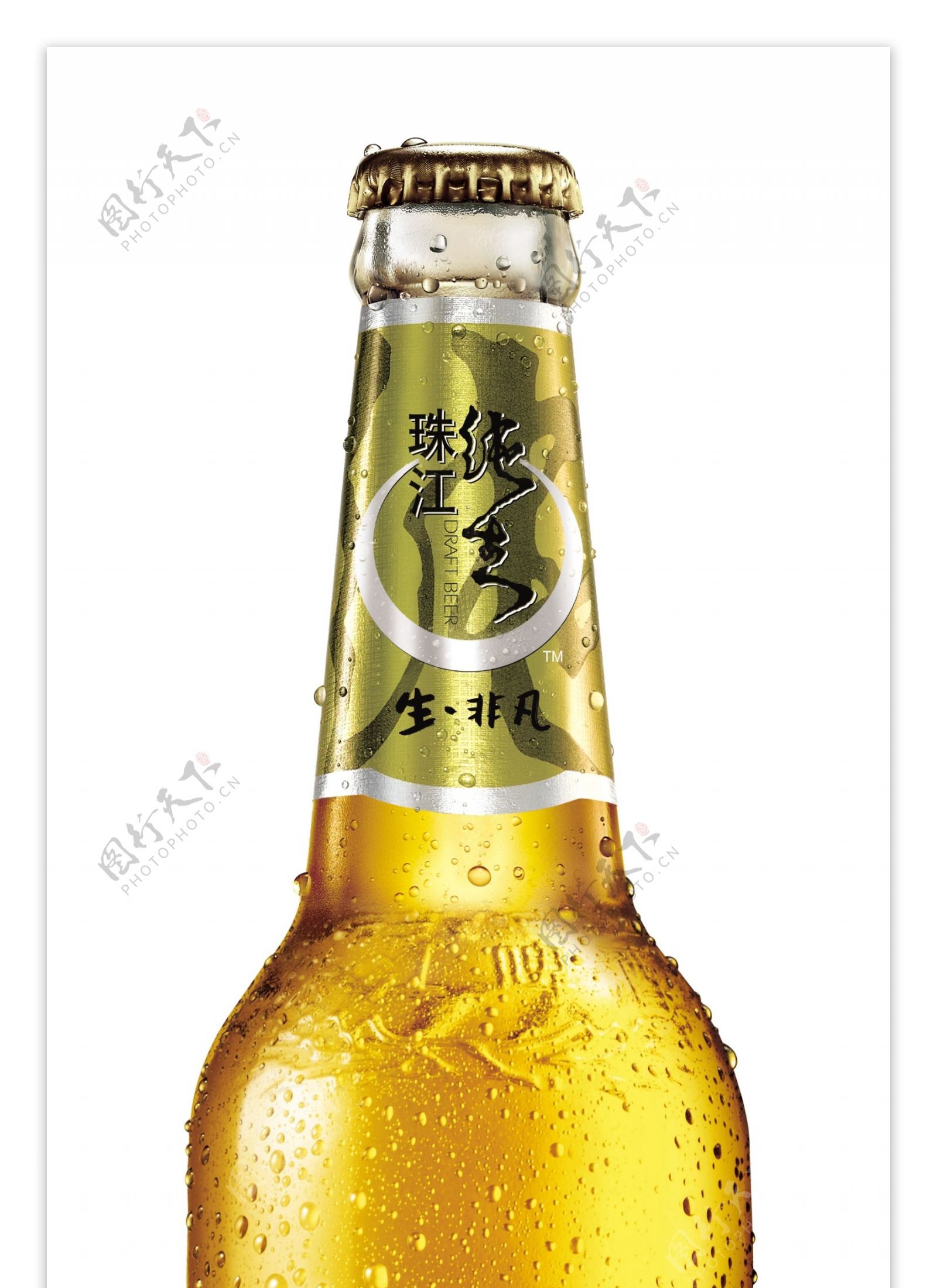 珠江啤酒珠江纯生