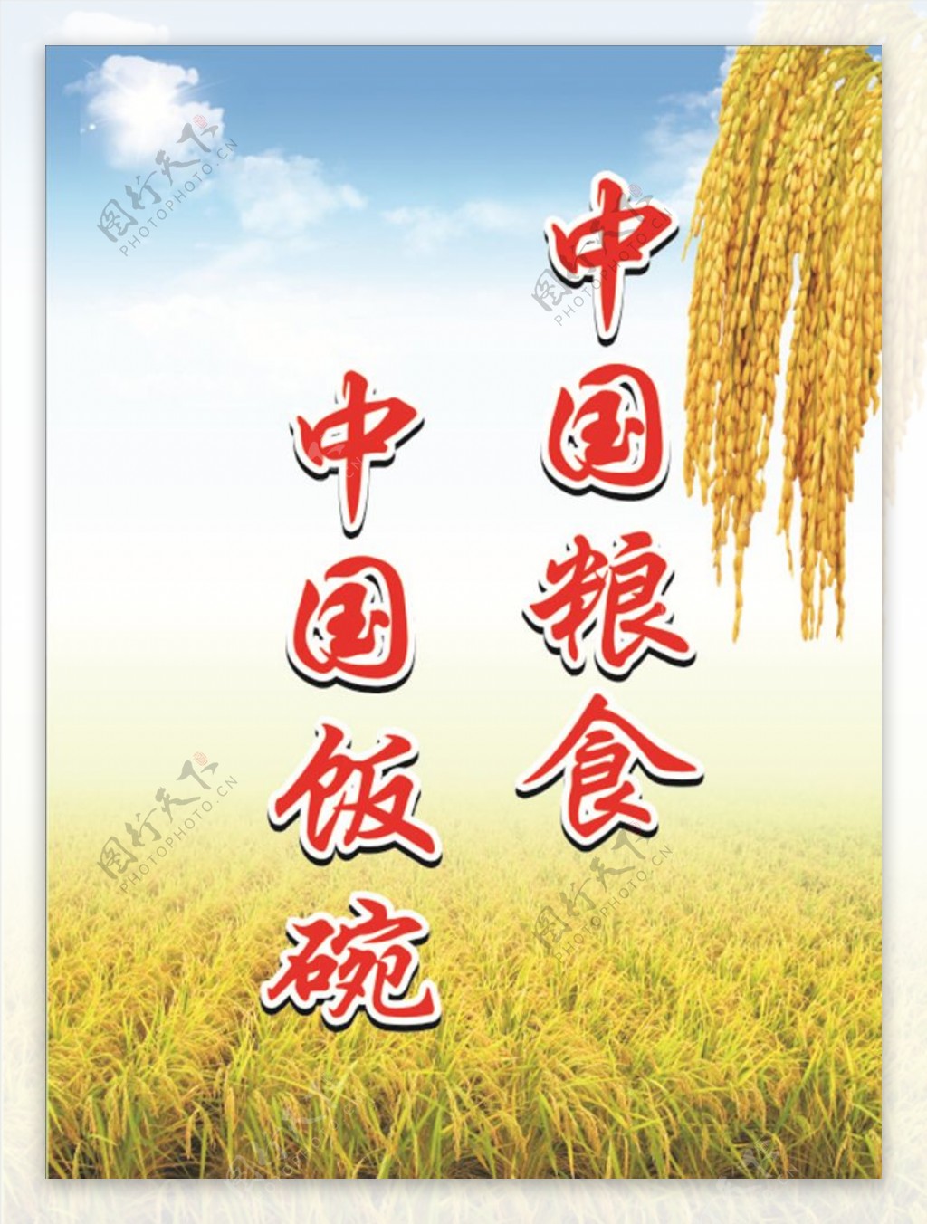 粮食水稻稻子海报
