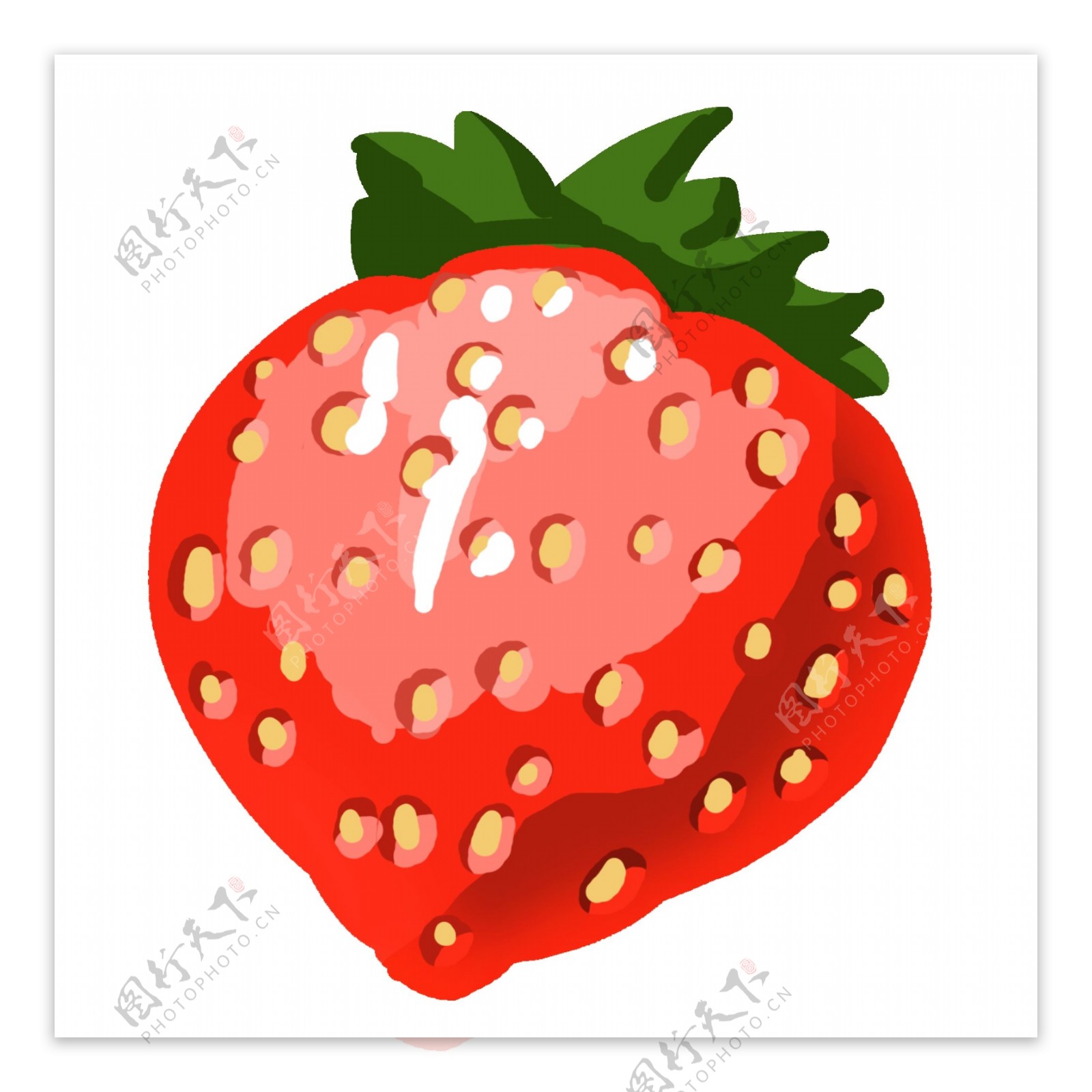 一颗红色的草莓插画