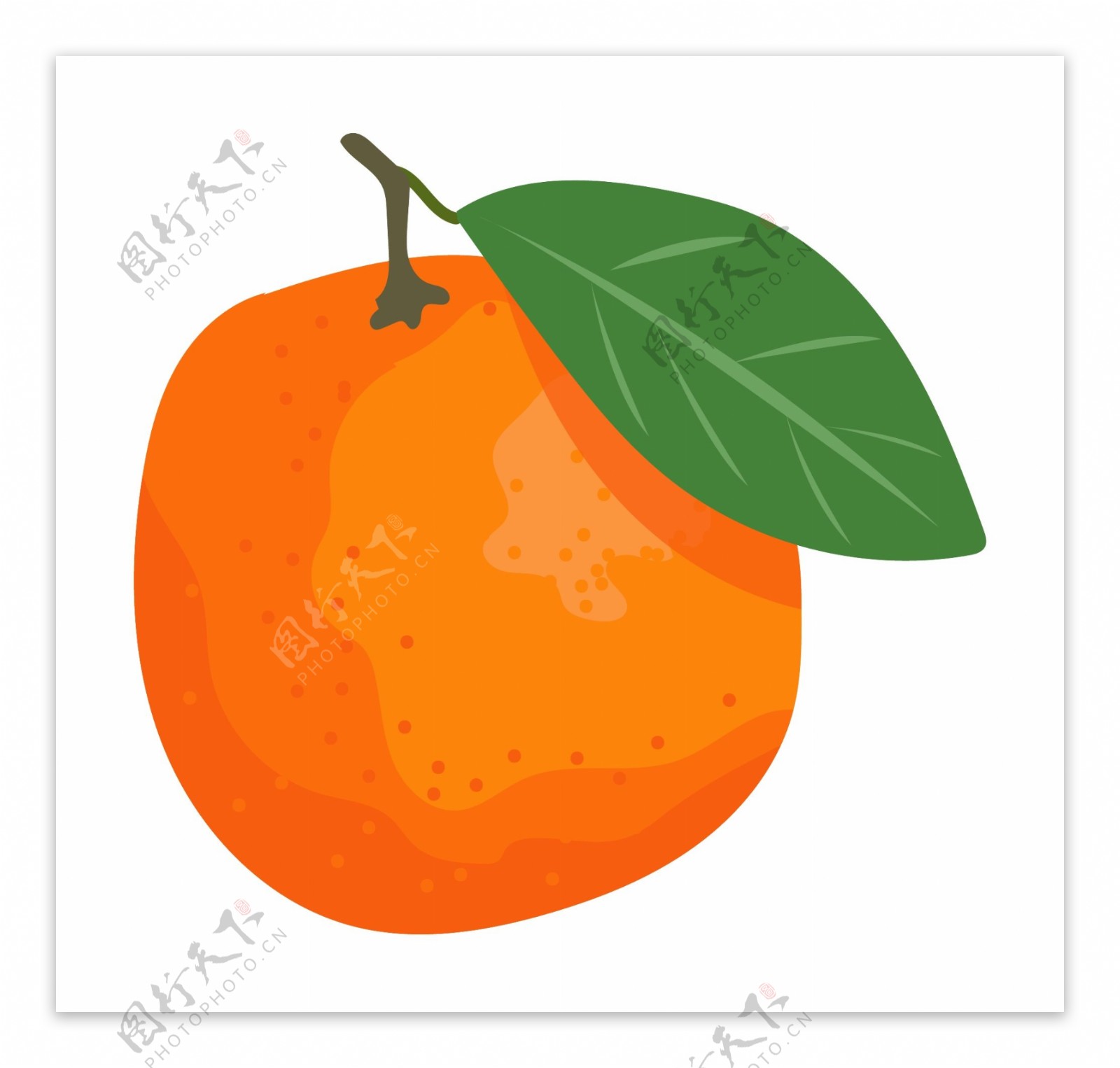 手绘春季水果橘子插画