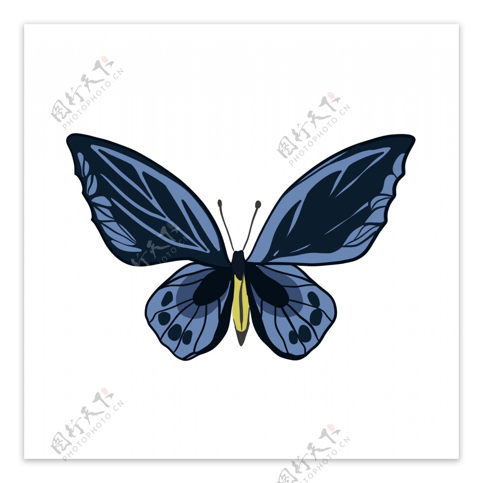 蓝黑色蝴蝶手绘素材