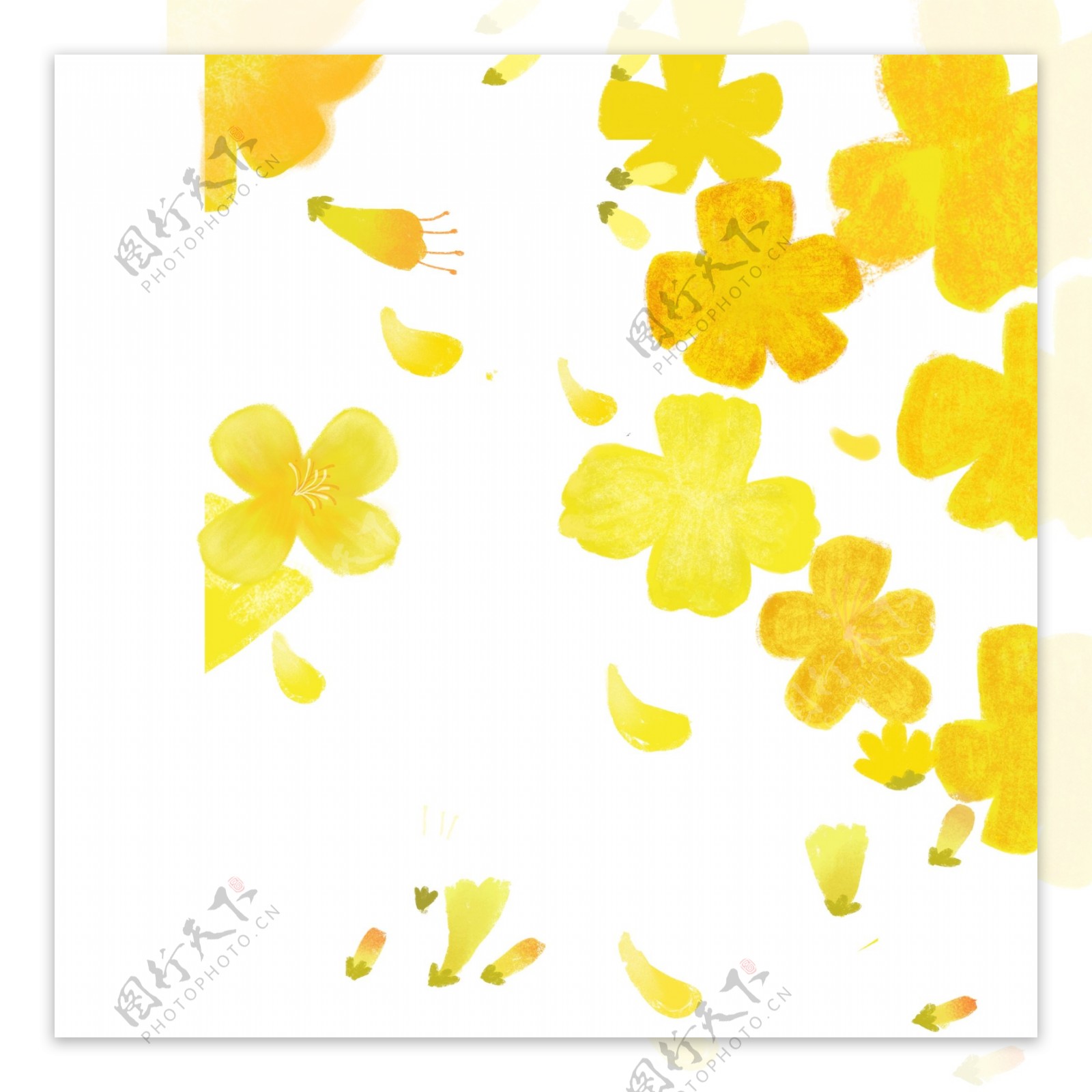 黄色水彩花朵装饰图案