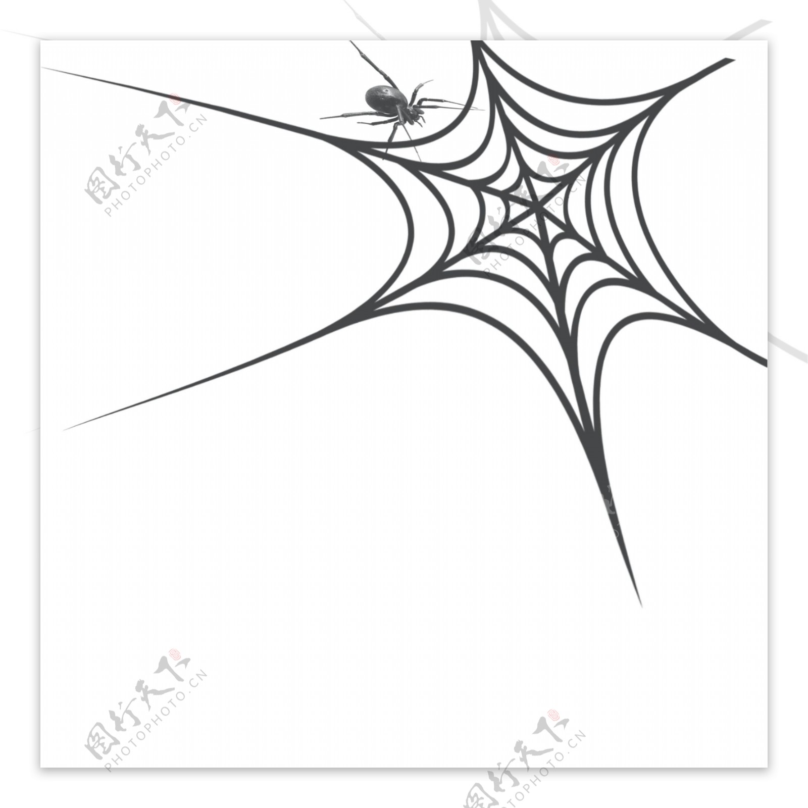 蜘蛛网黑色网状蜘蛛网元素