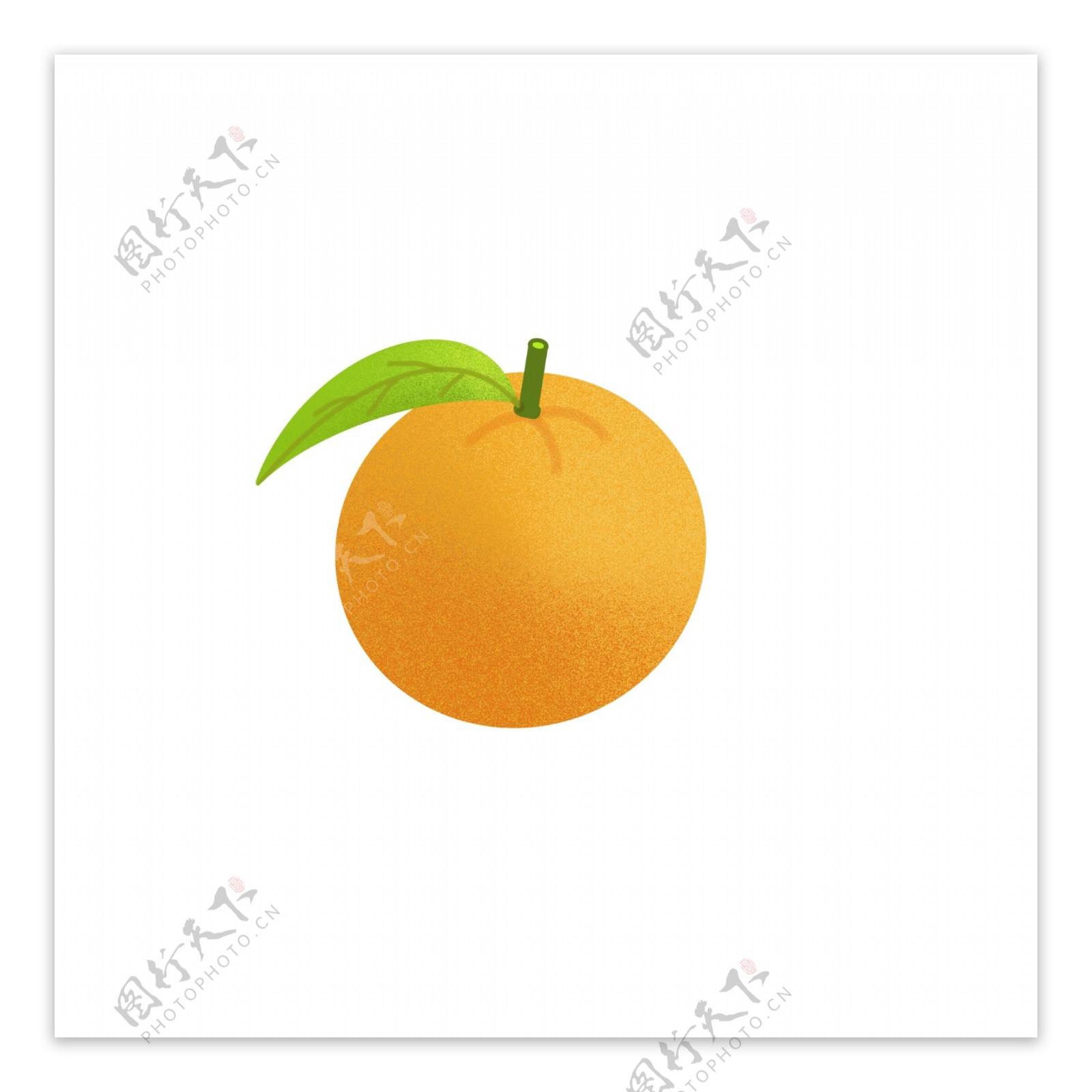 矢量图橙色的橘子