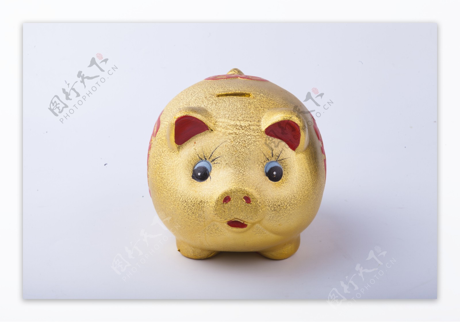 实物图摄影图金猪储钱罐1