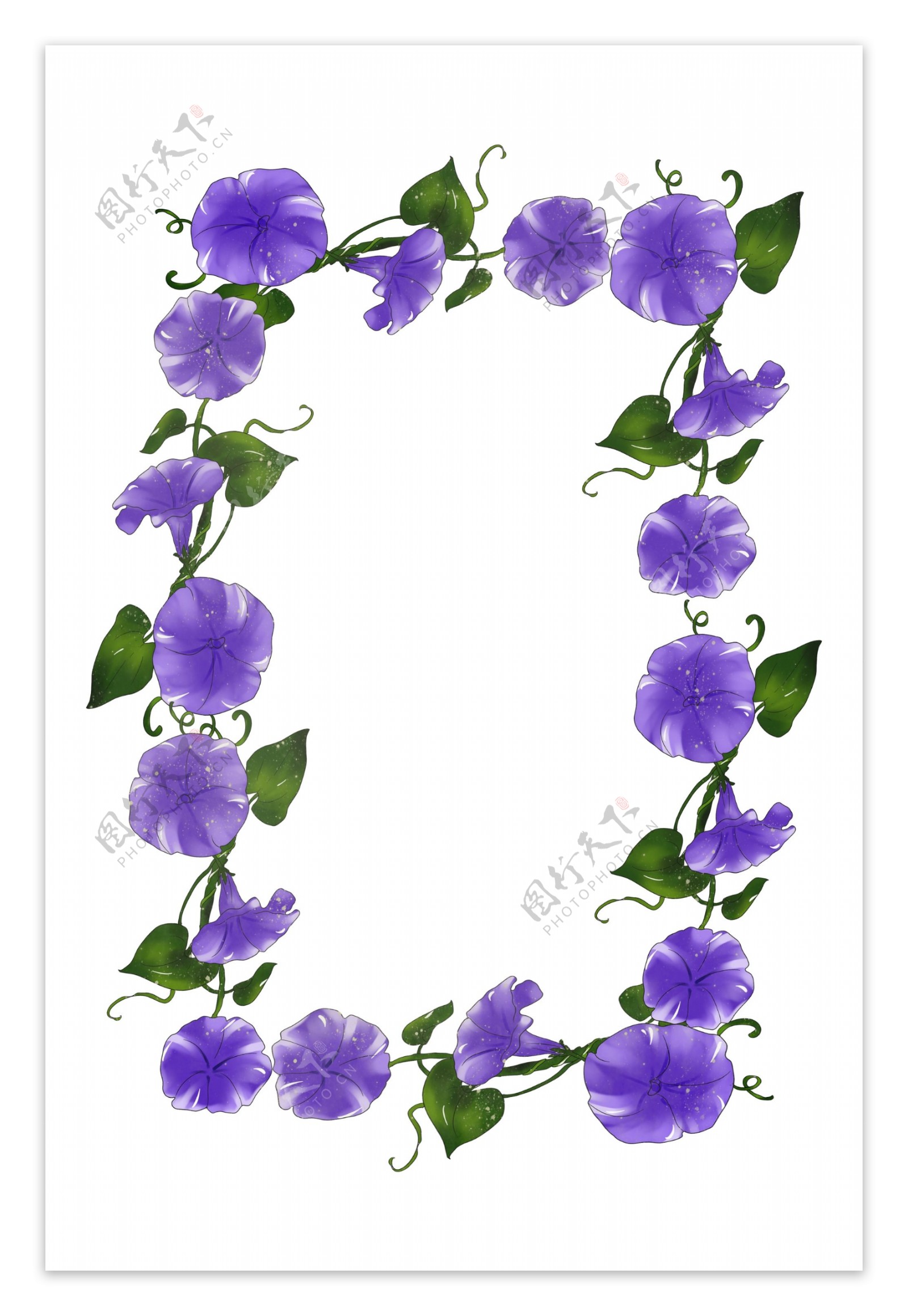 紫色花瓣花藤手绘装饰边框