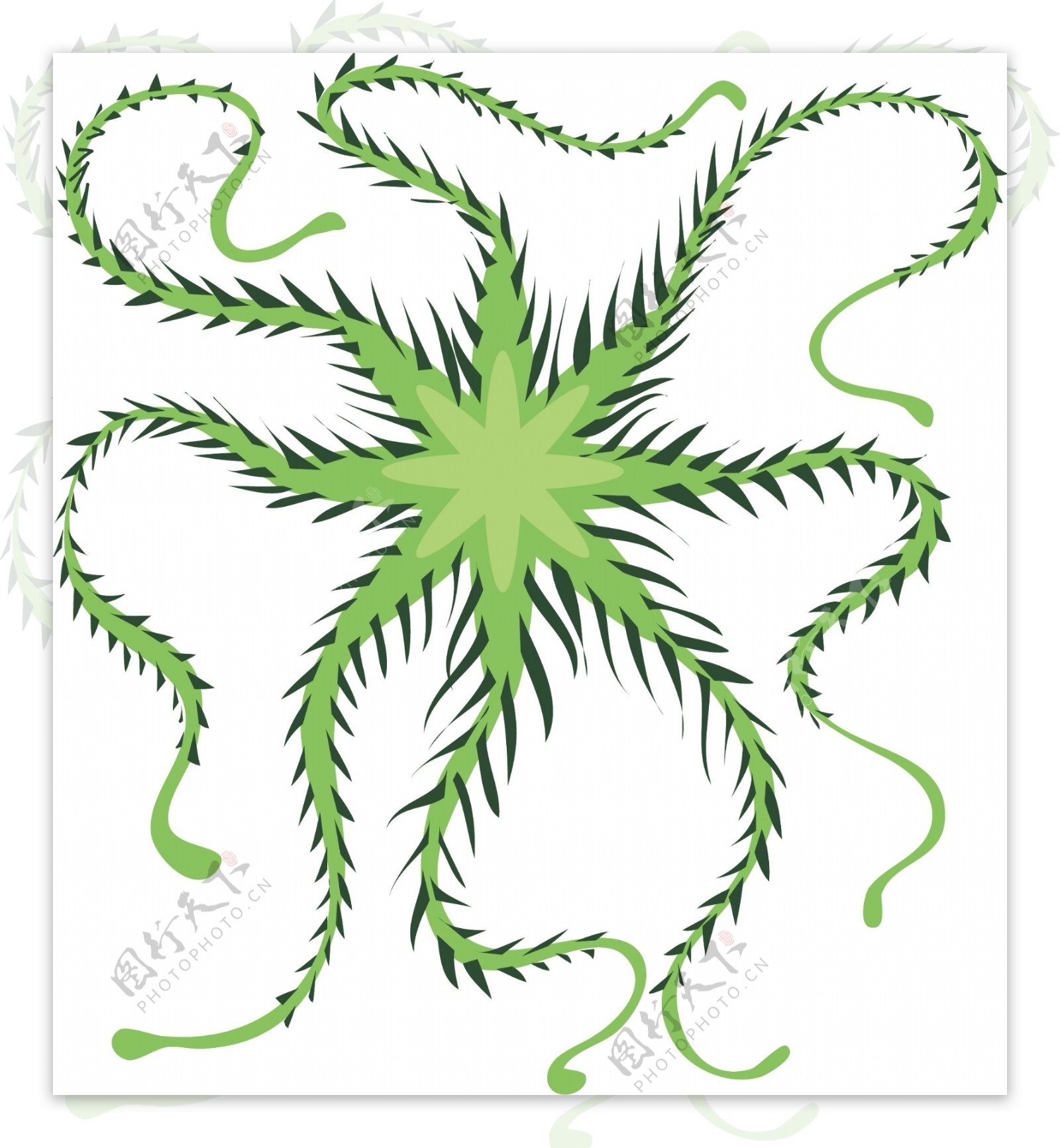 绿色的海星细菌插画