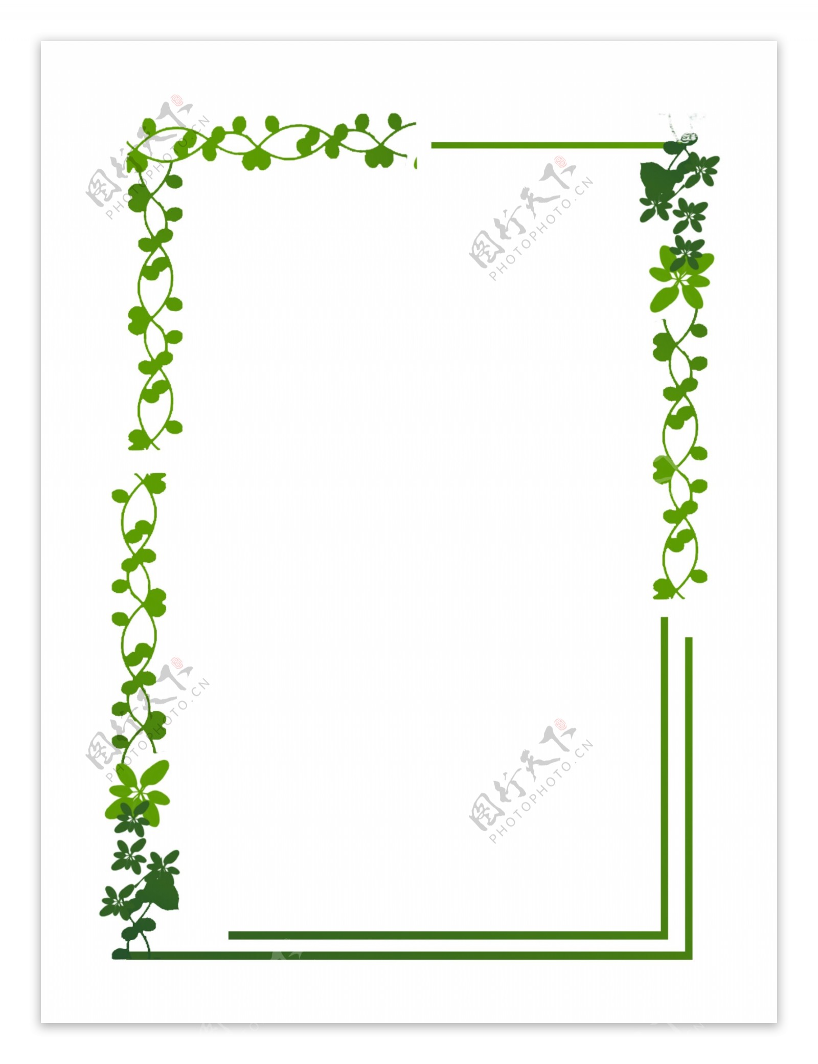 绿色植物树叶手绘边框