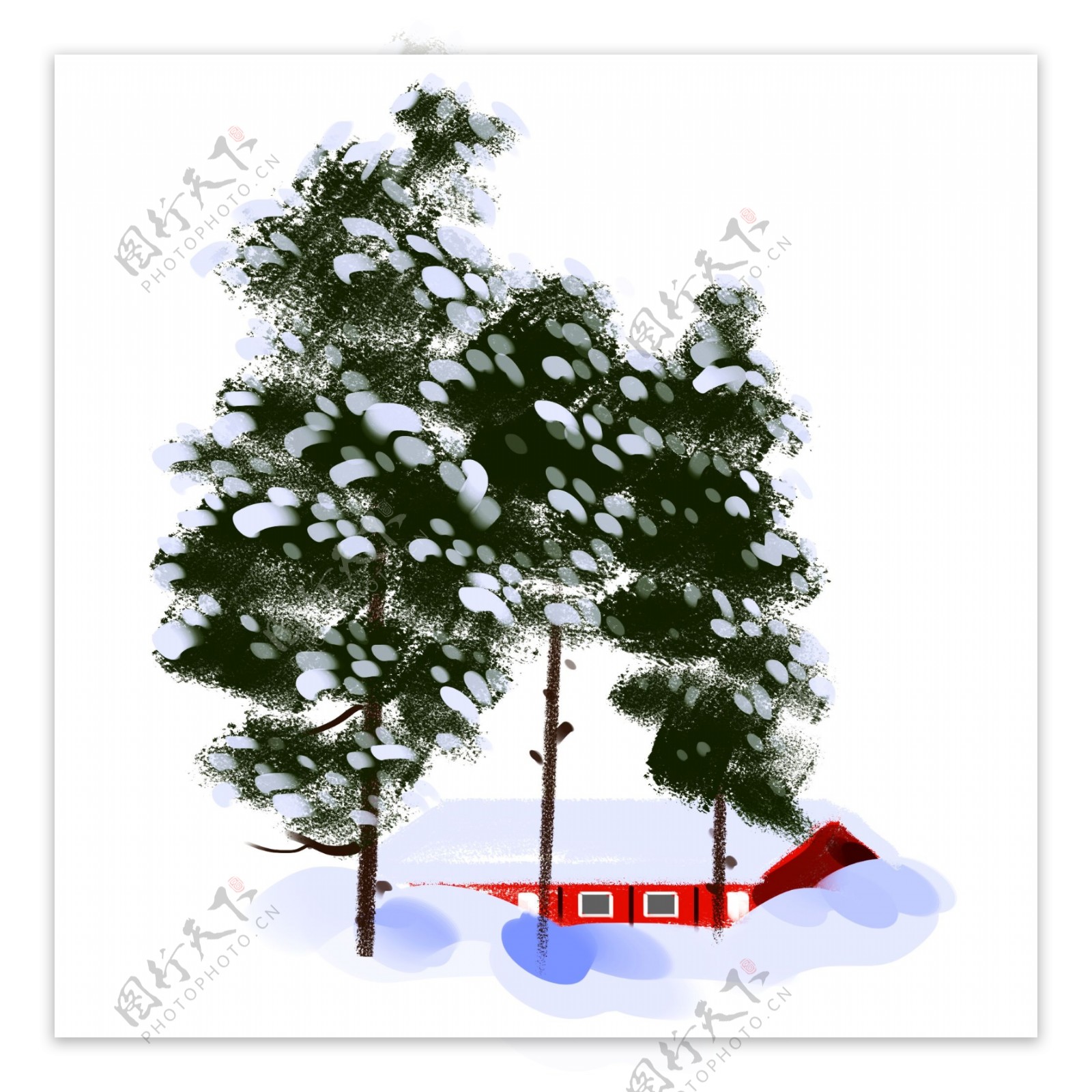 手绘落雪的柏树插画