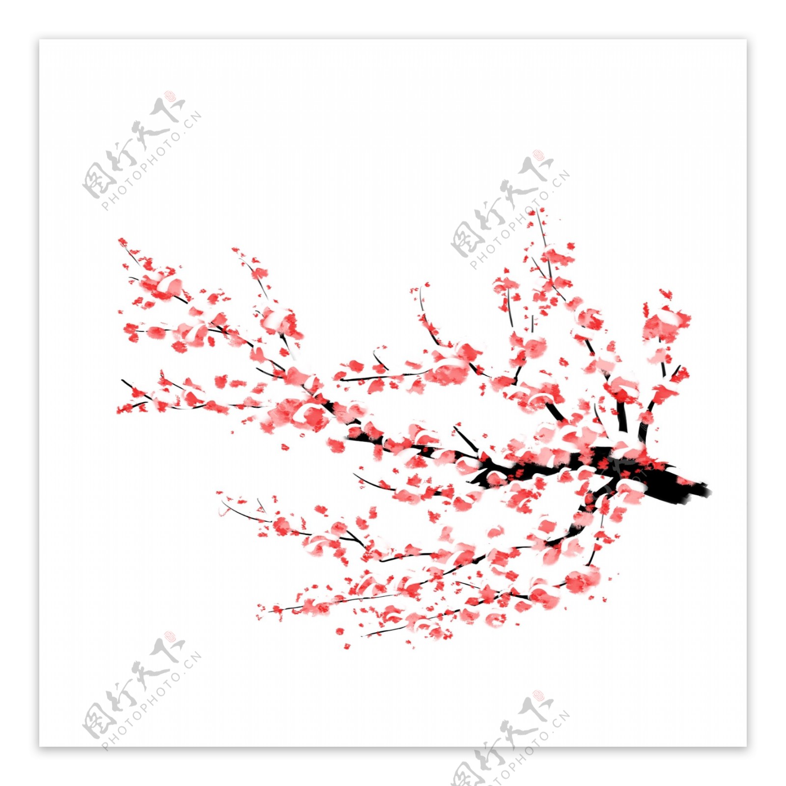 中国风手绘梅花花枝
