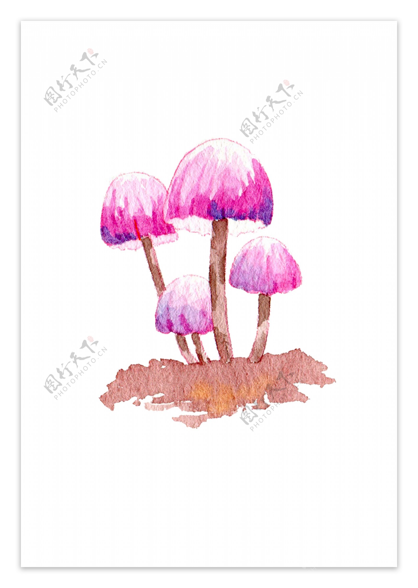 手绘蘑菇水彩蘑菇秋日蘑菇