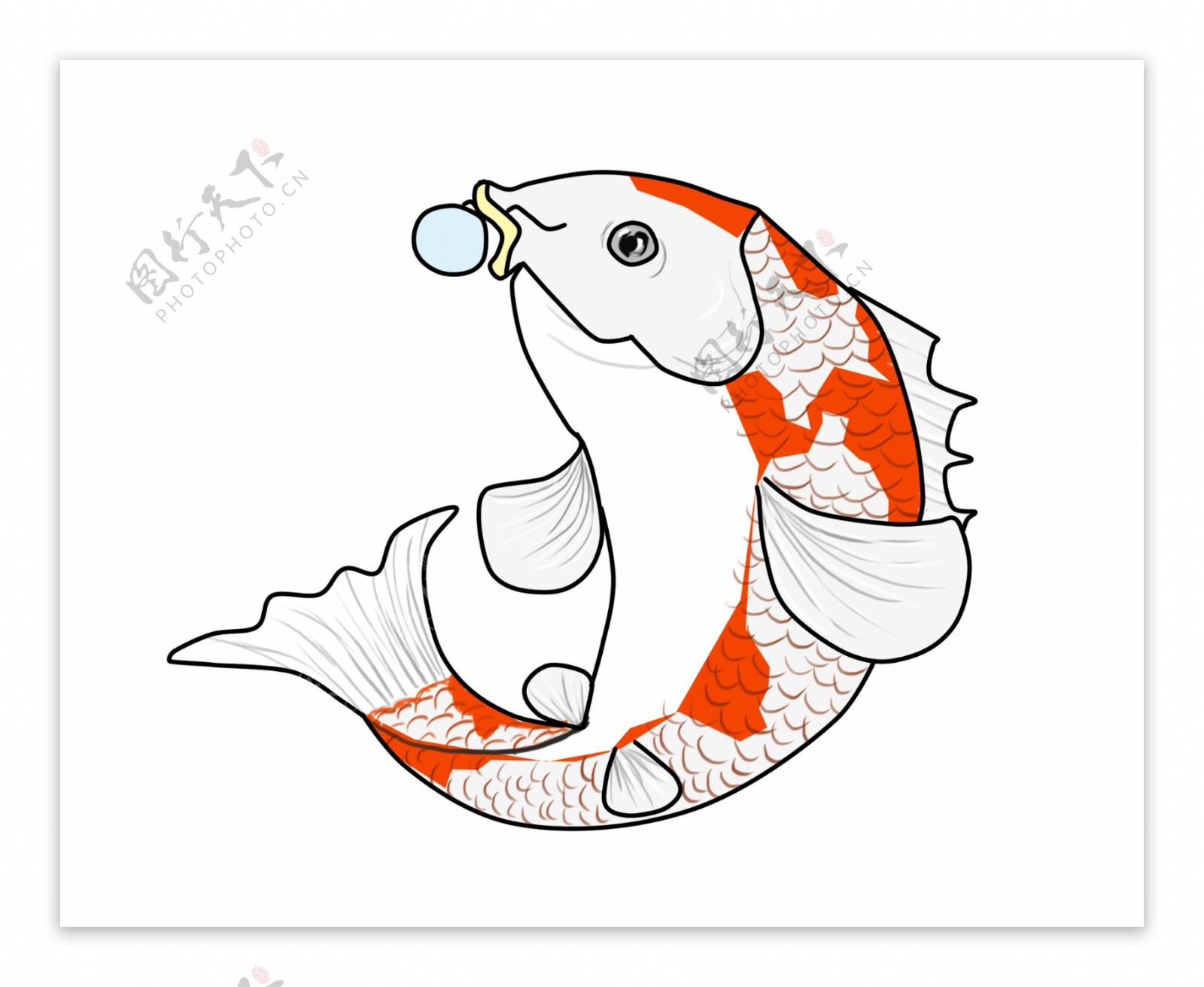 锦鲤花白鱼类卡通插画