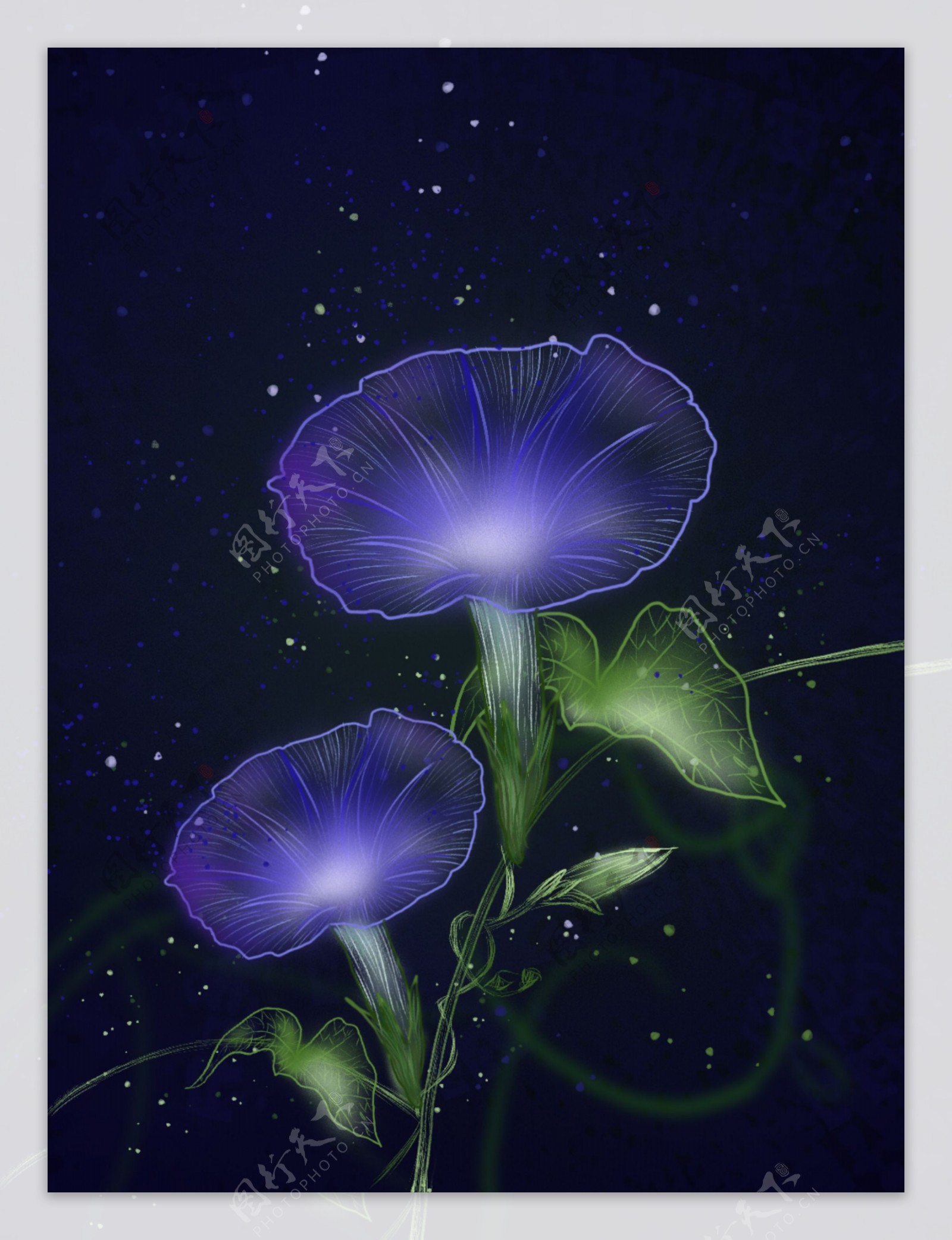 唯美植物独特透明感神秘紫色牵牛花背景