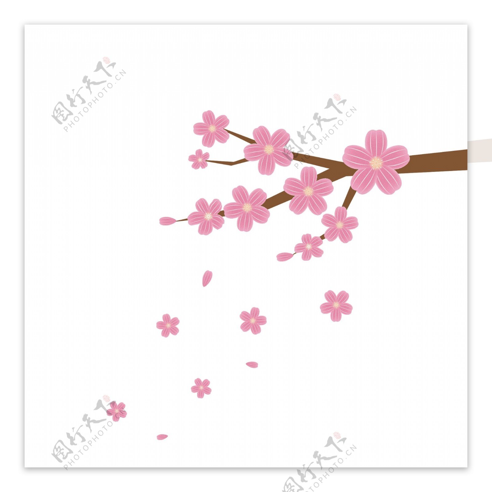 原创粉色日本樱花花枝树枝元素