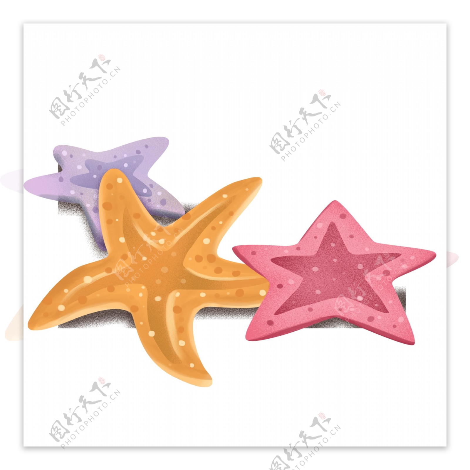 彩色海星装饰图案