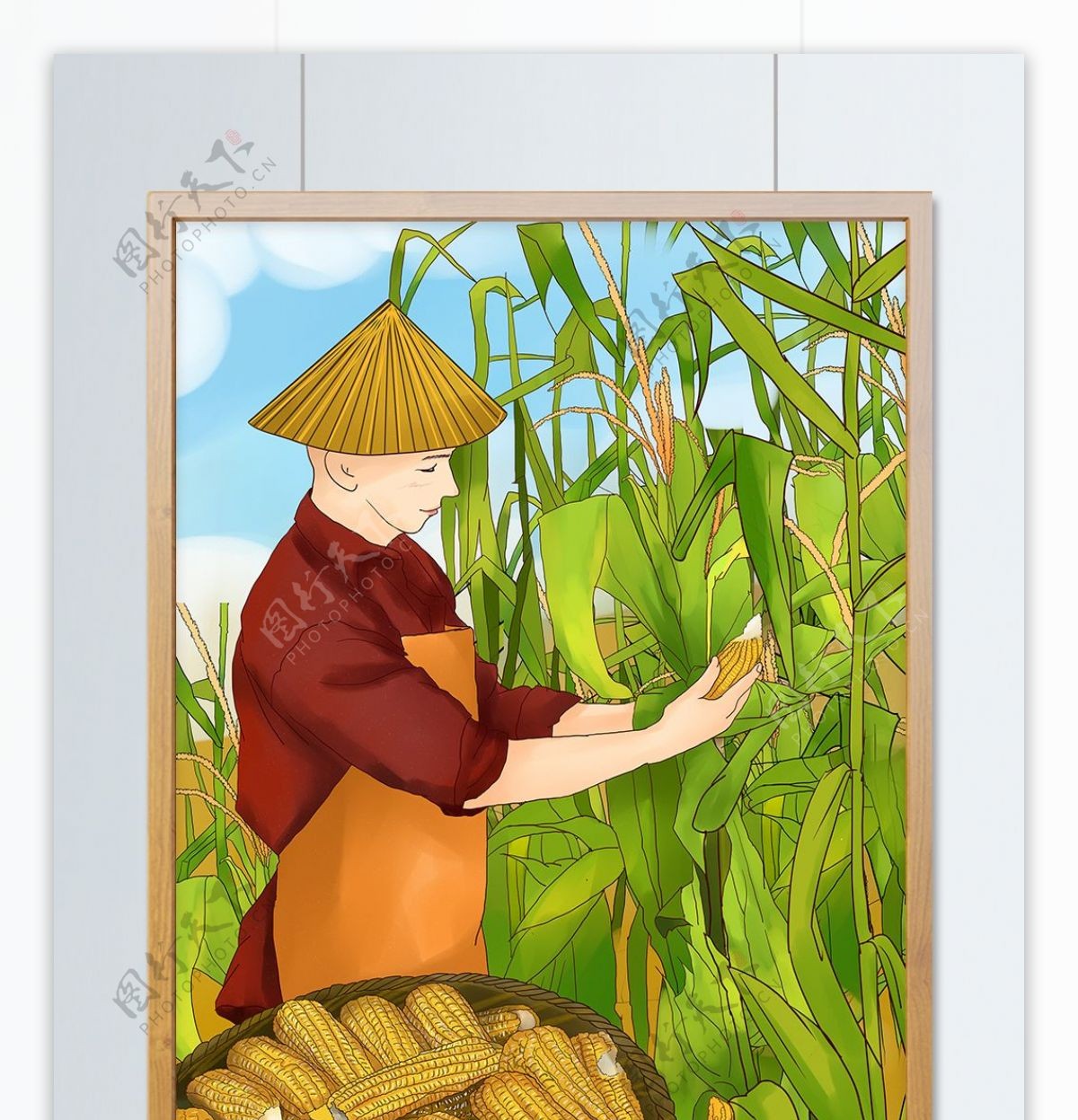插画芒种系列美男子在玉米田收玉米
