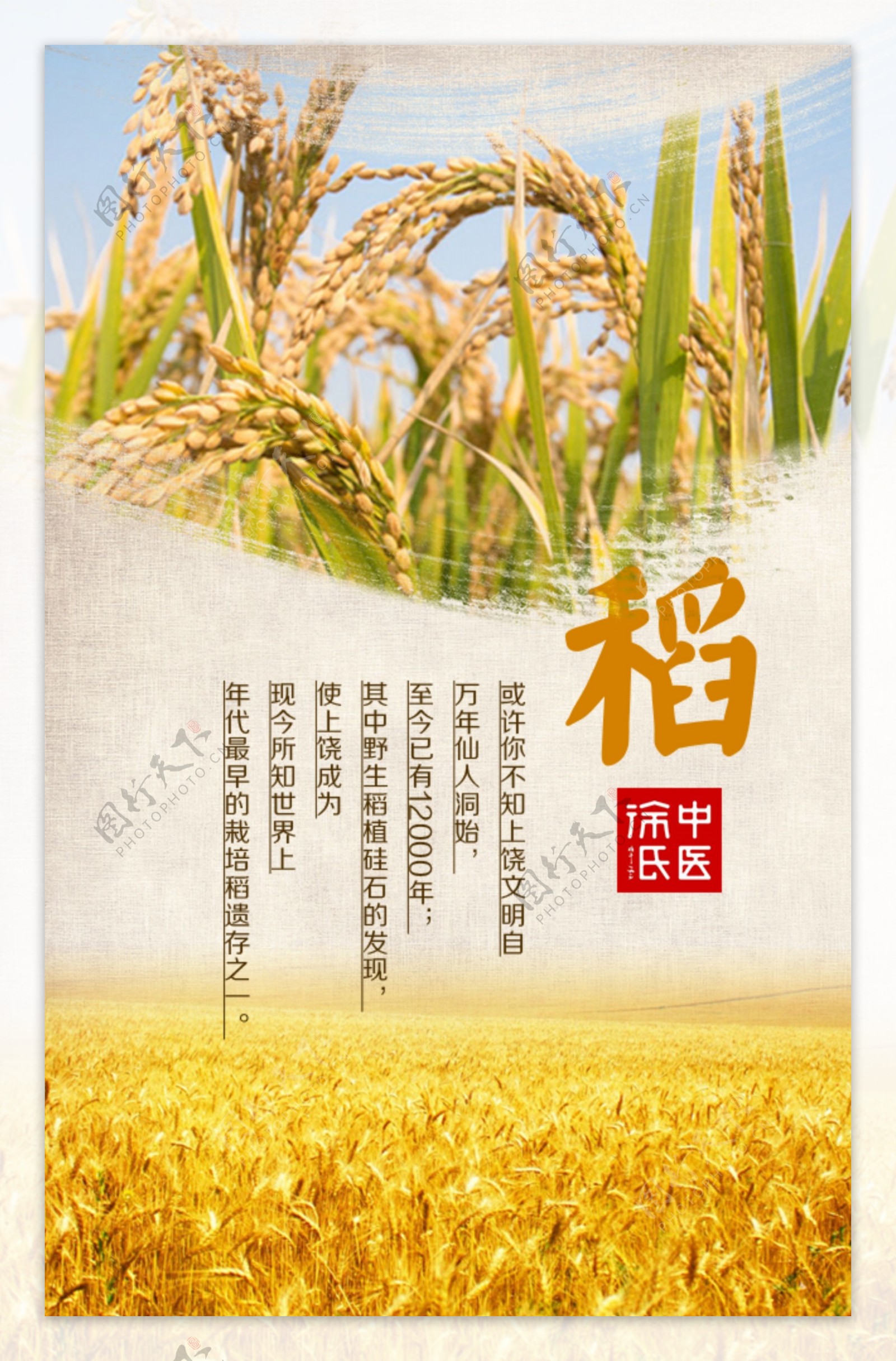 稻米宣传海报