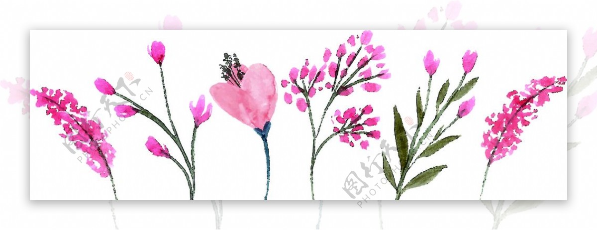 水彩绘粉色花卉水彩矢量