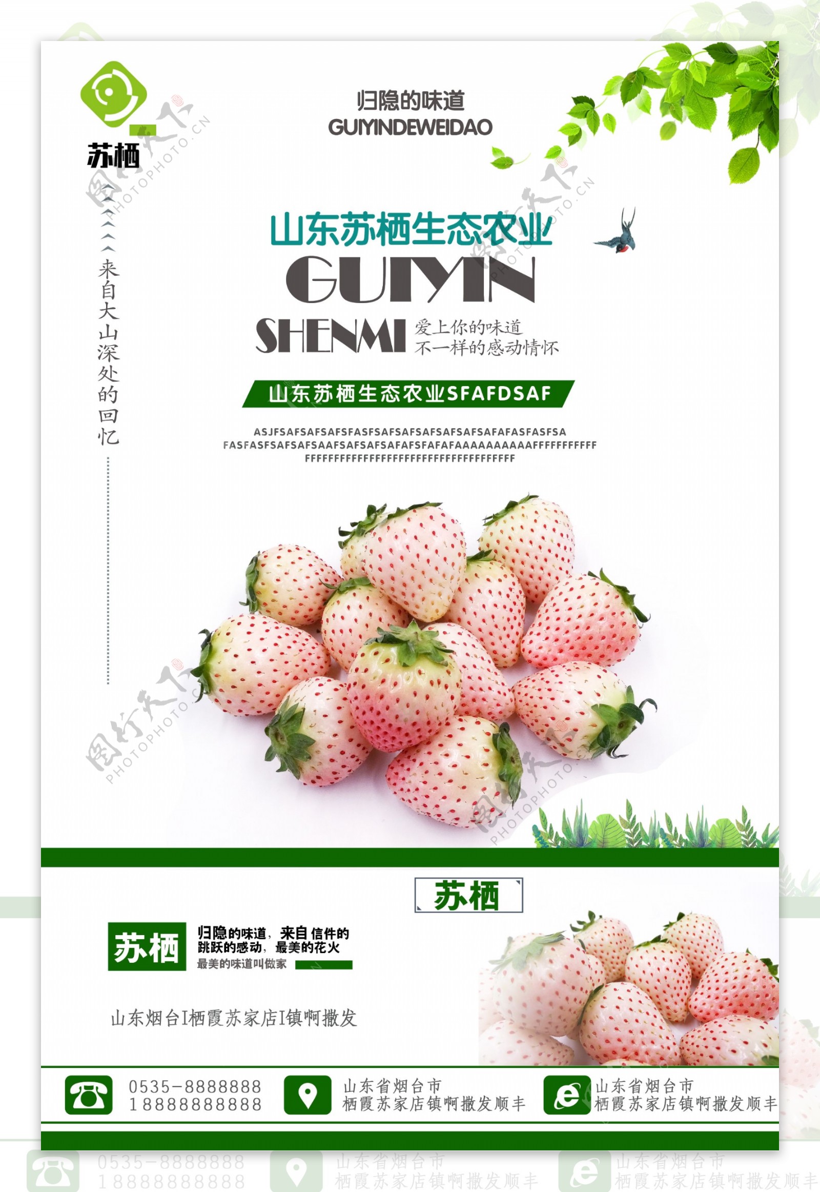 草莓单页