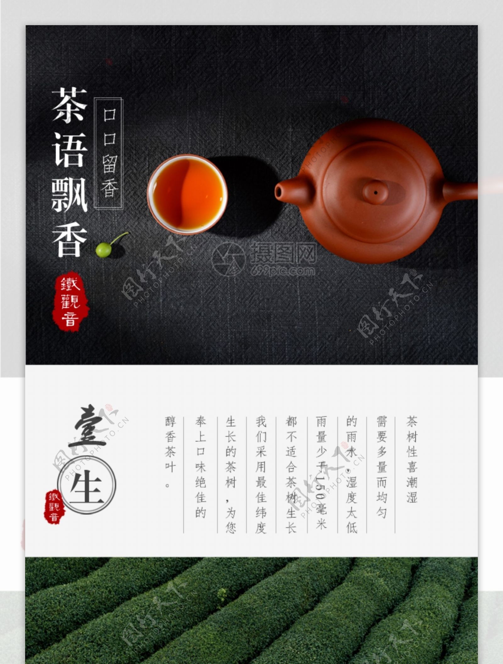 茶叶铁观音促销淘宝详情页