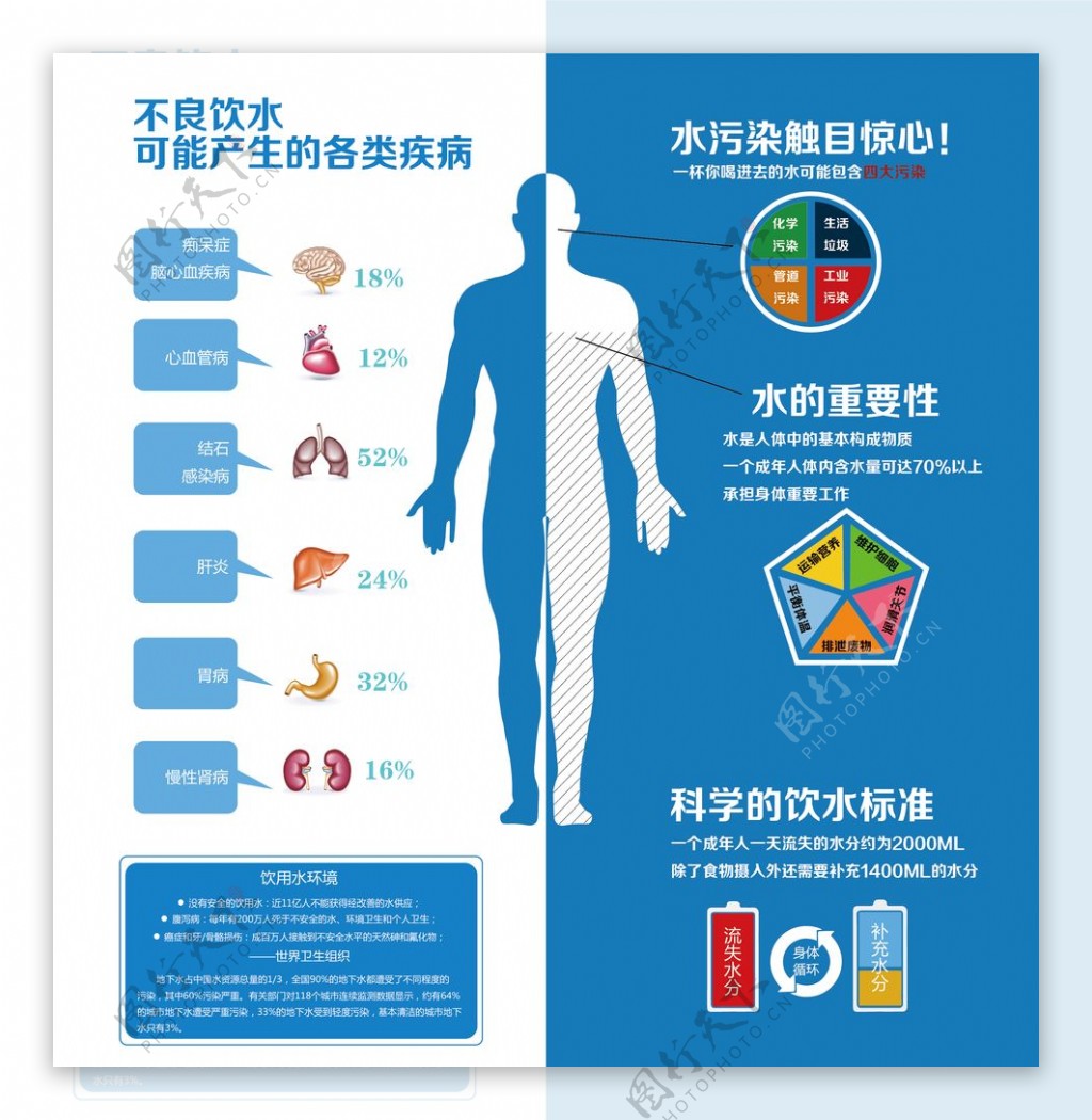 水与健康