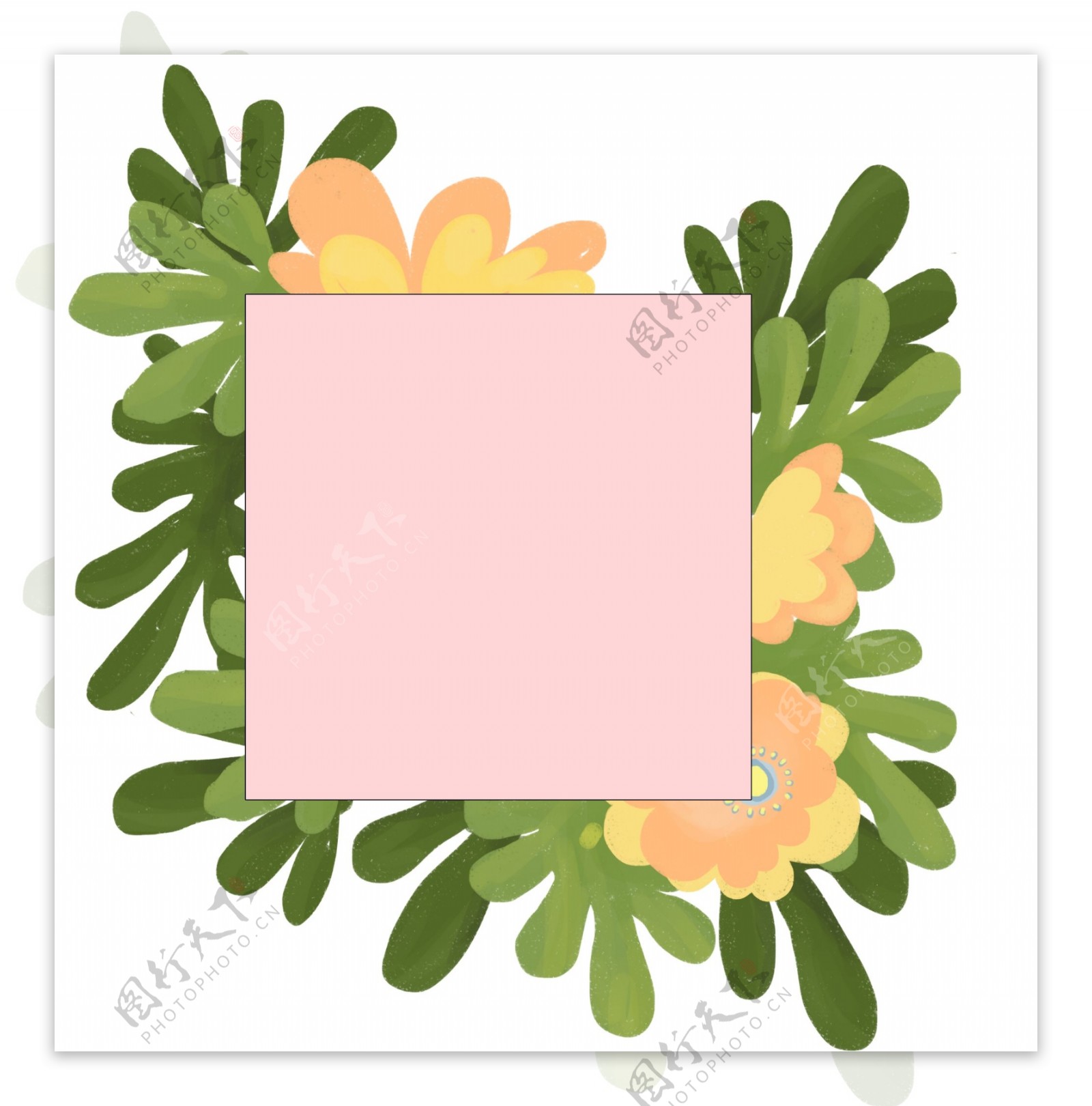 植物花朵粉色边框
