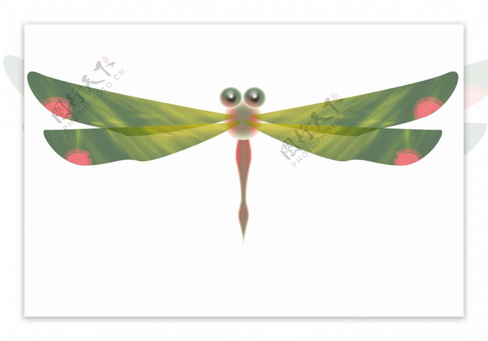 绿色翅膀蜻蜓