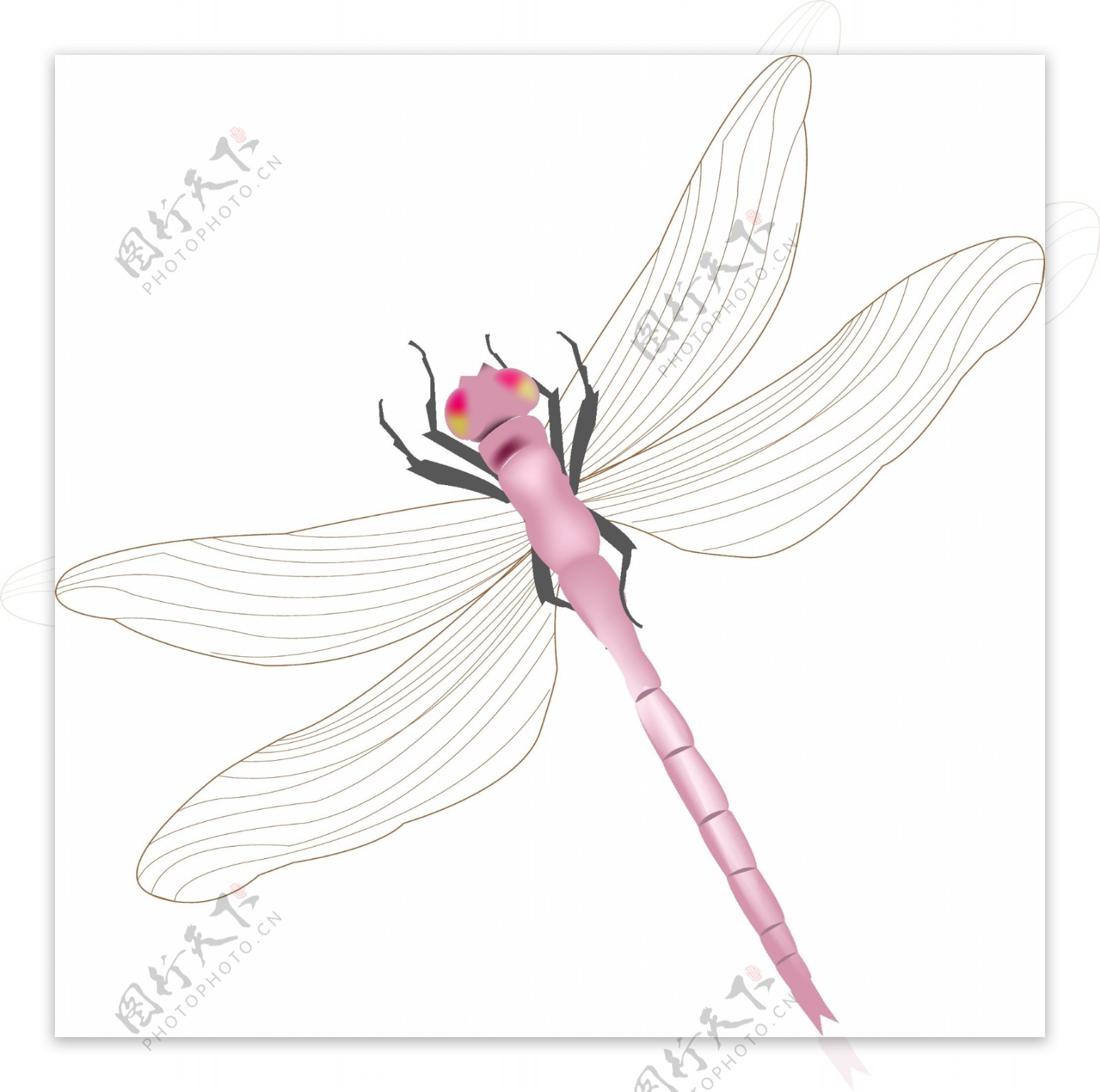 卡通春天粉色小蜻蜓