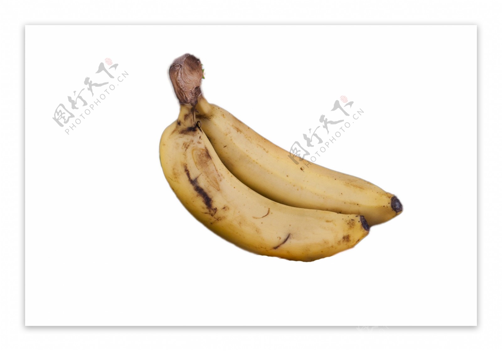 两根新鲜的大香蕉