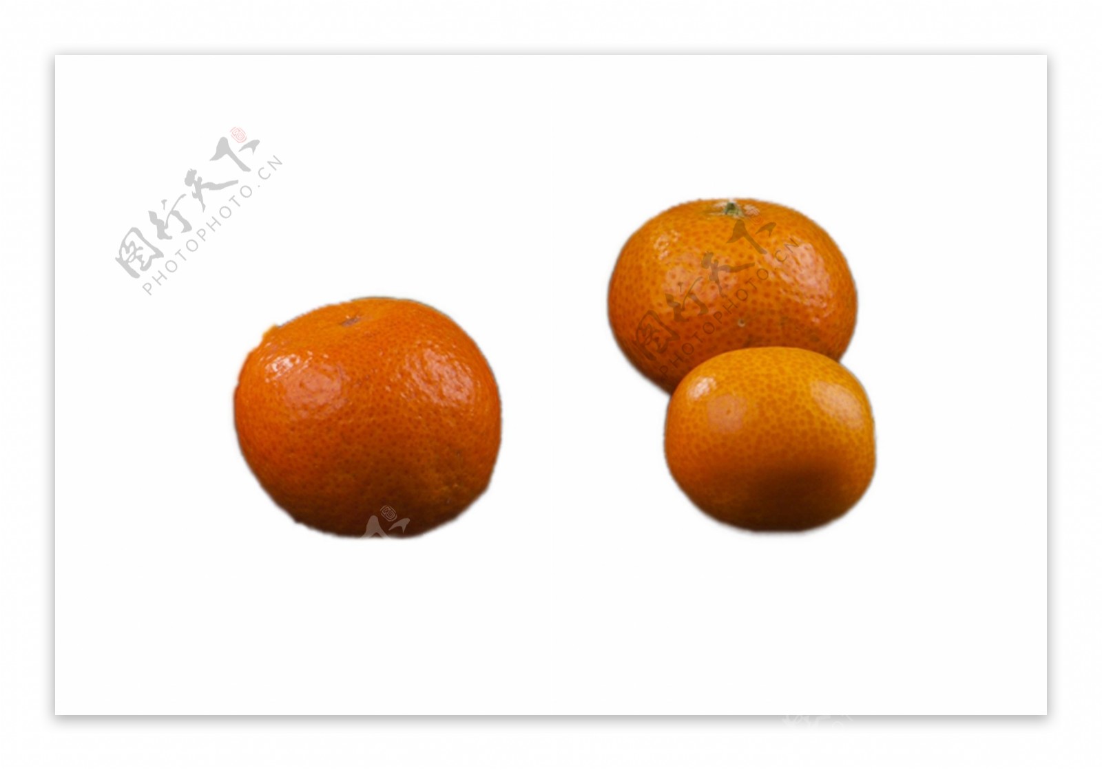 三个新鲜的大橘子
