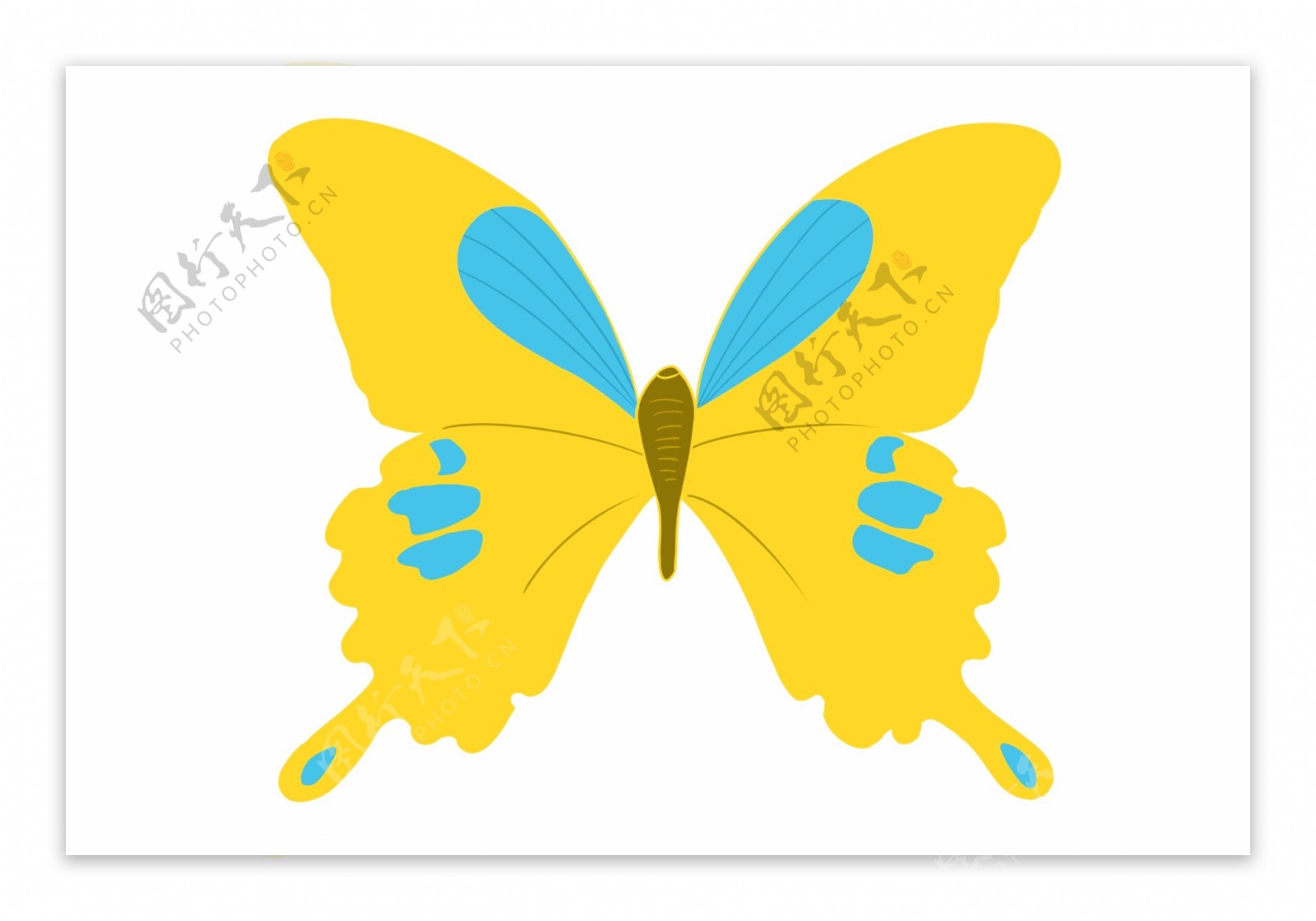 黄色蝴蝶动物插画