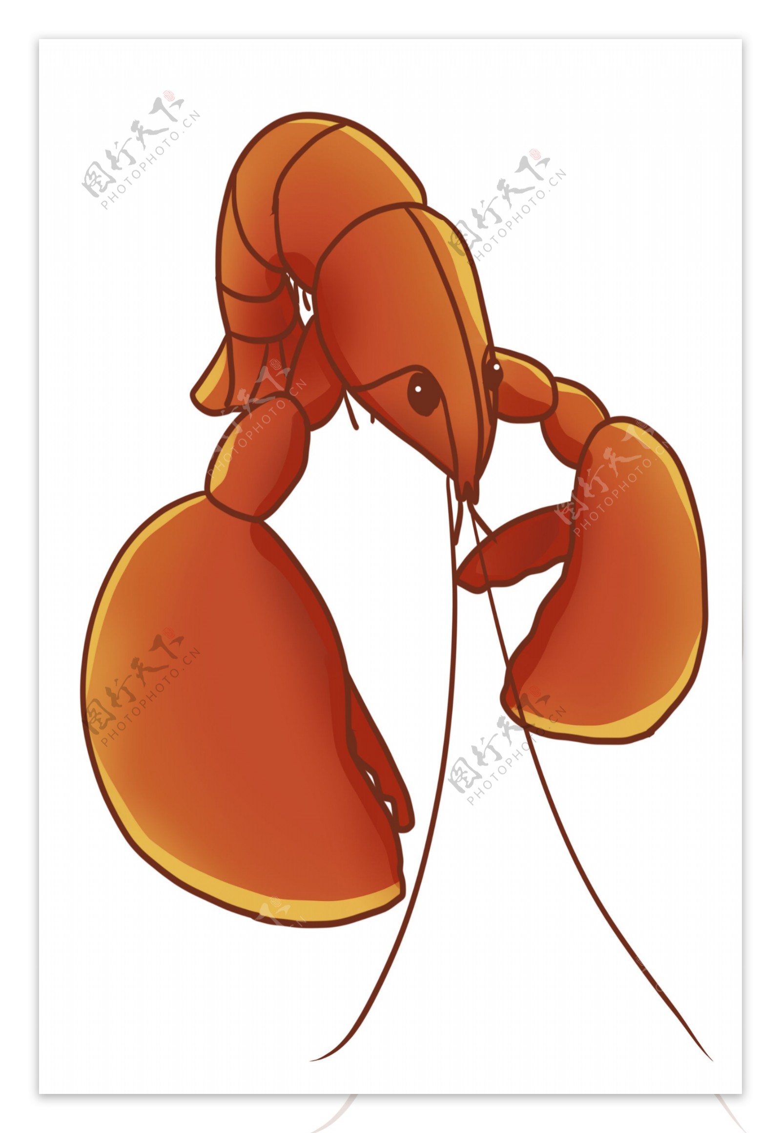 褐色的大龙虾插画