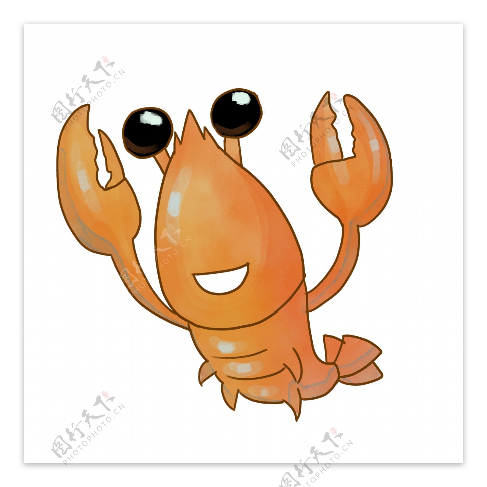 爬行的小龙虾插图