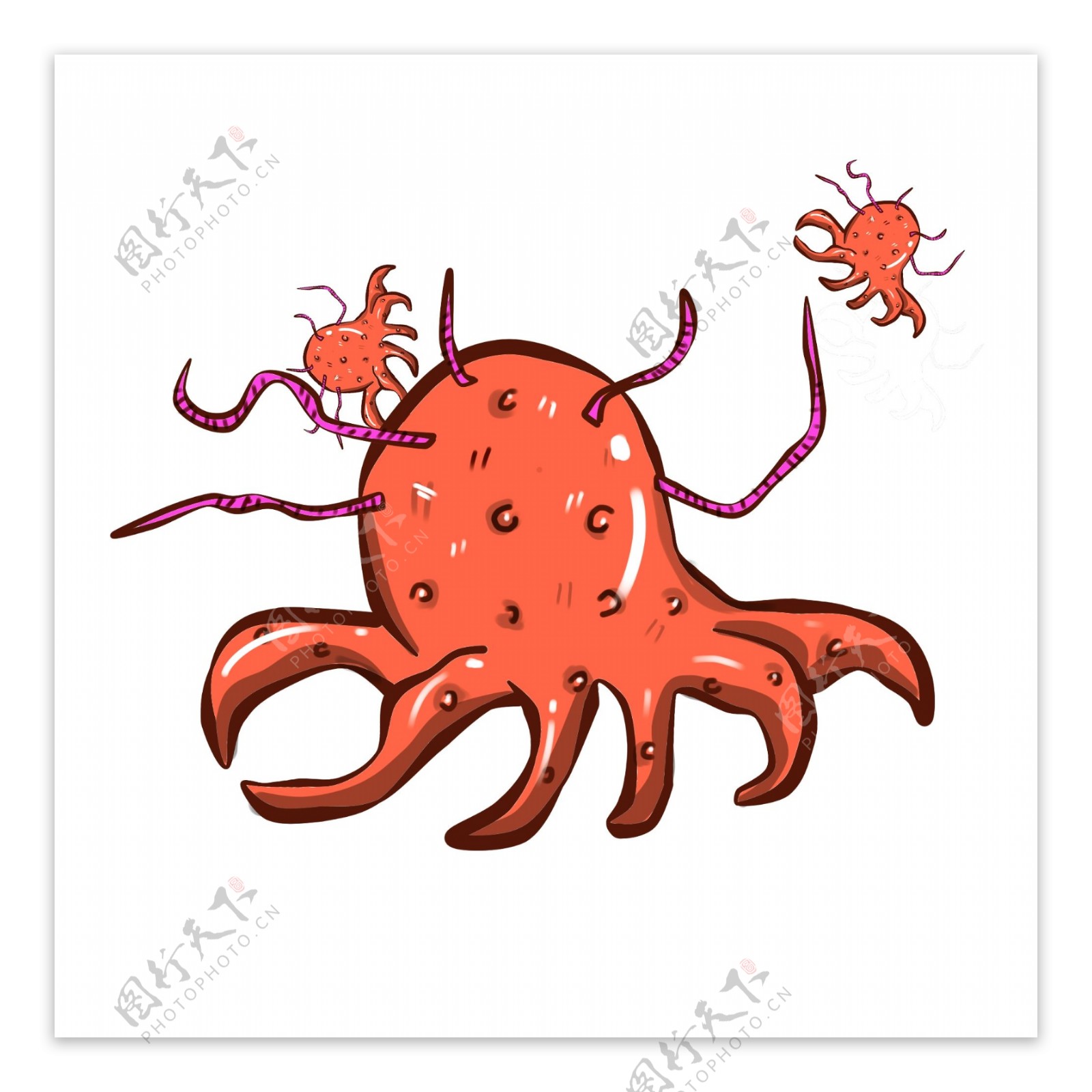 红色章鱼形状细菌