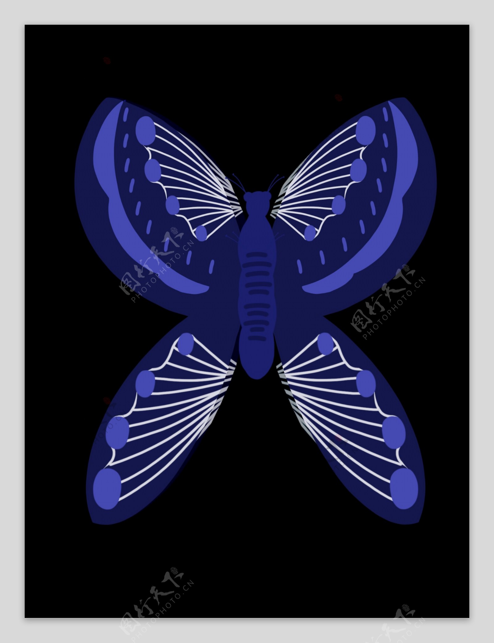 精美的蓝色蝴蝶风筝