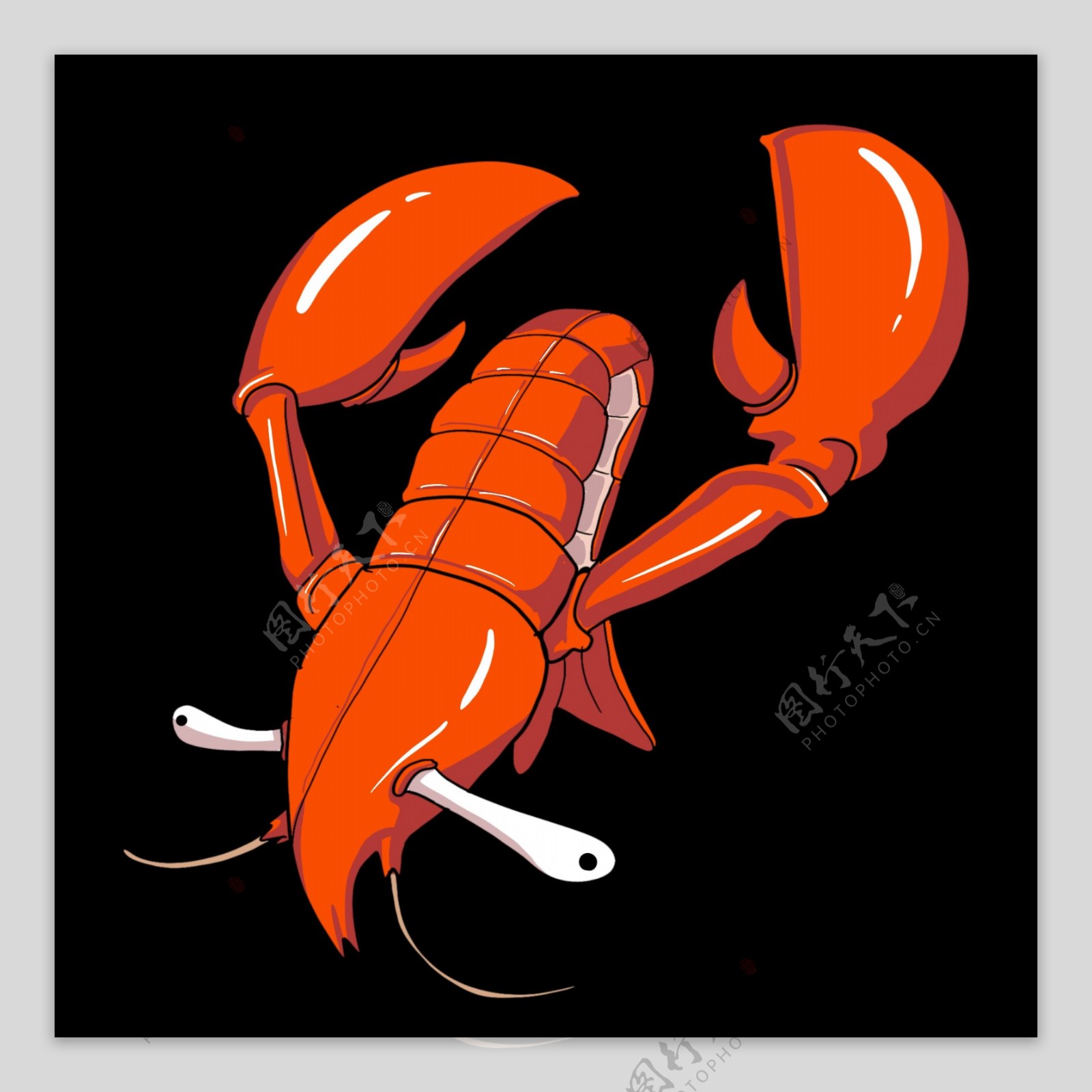红色龙虾活虾插画