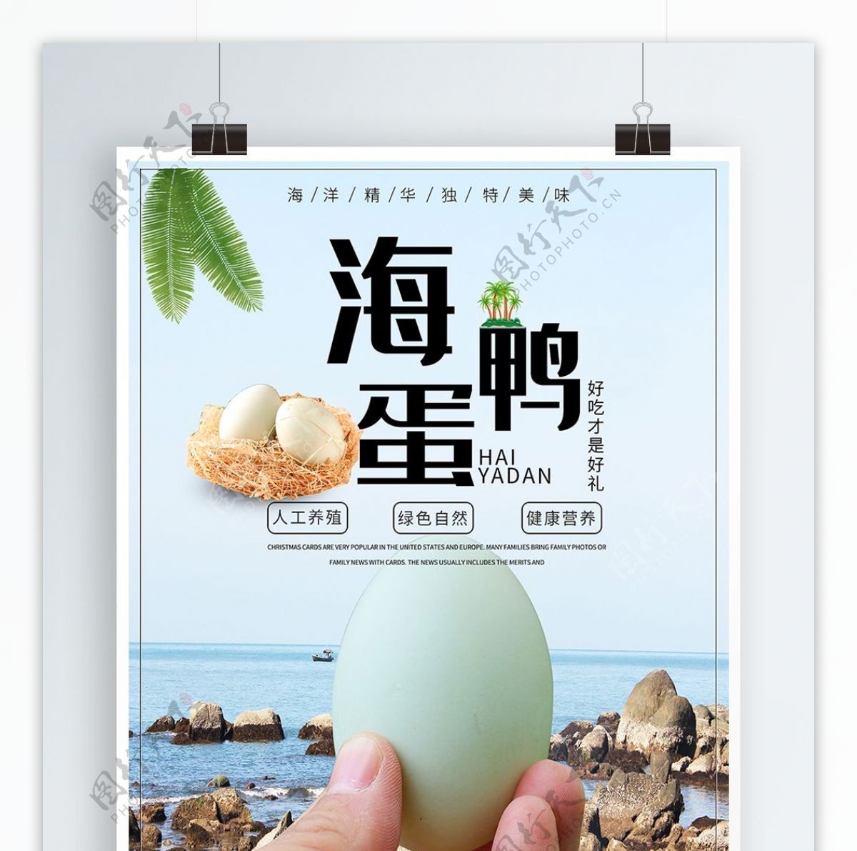 海鸭蛋食品促销海报