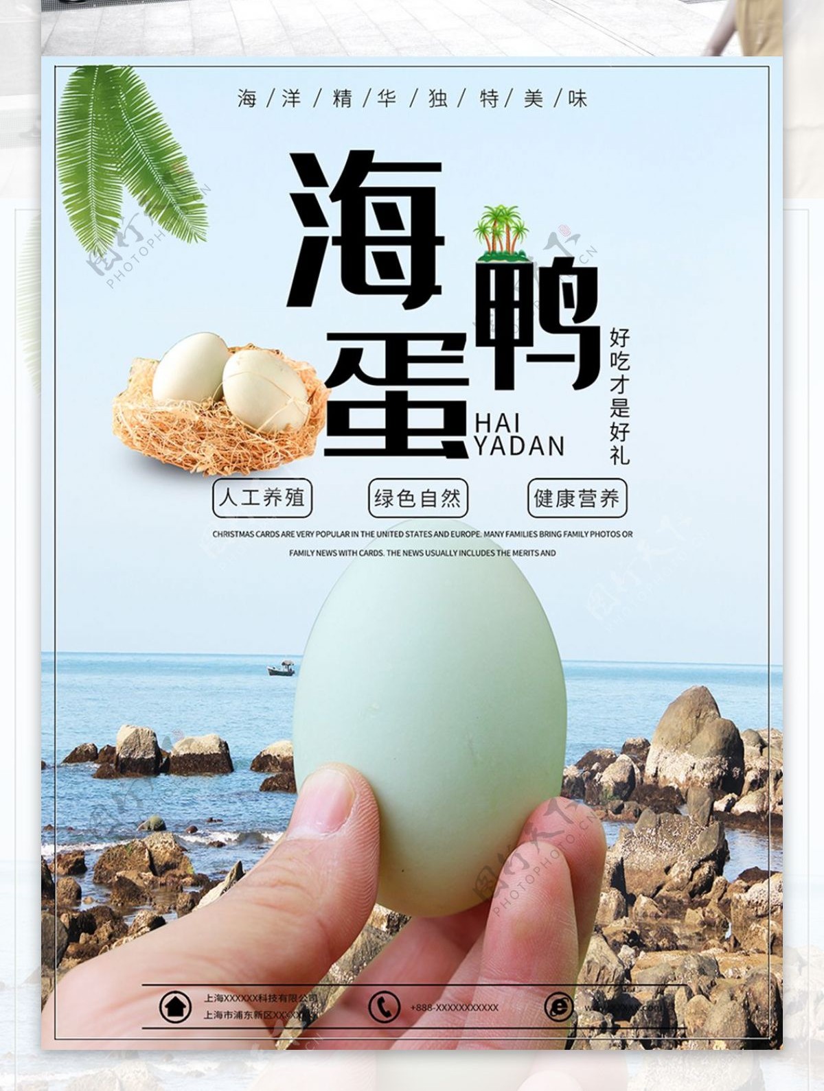 海鸭蛋食品促销海报