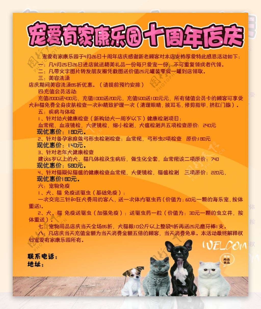 宠物店庆海报