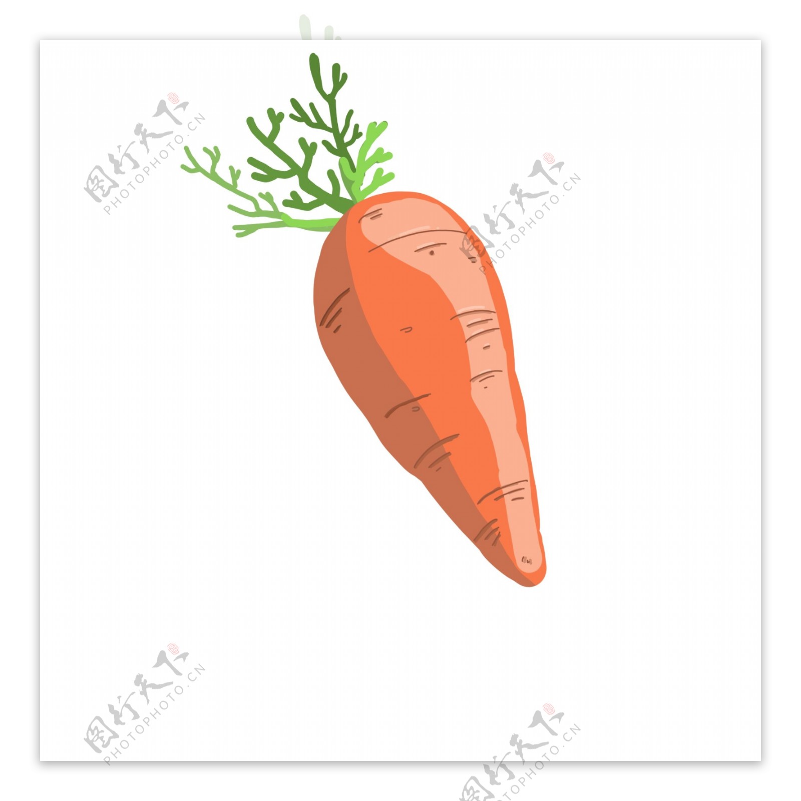 食材蔬菜胡萝卜
