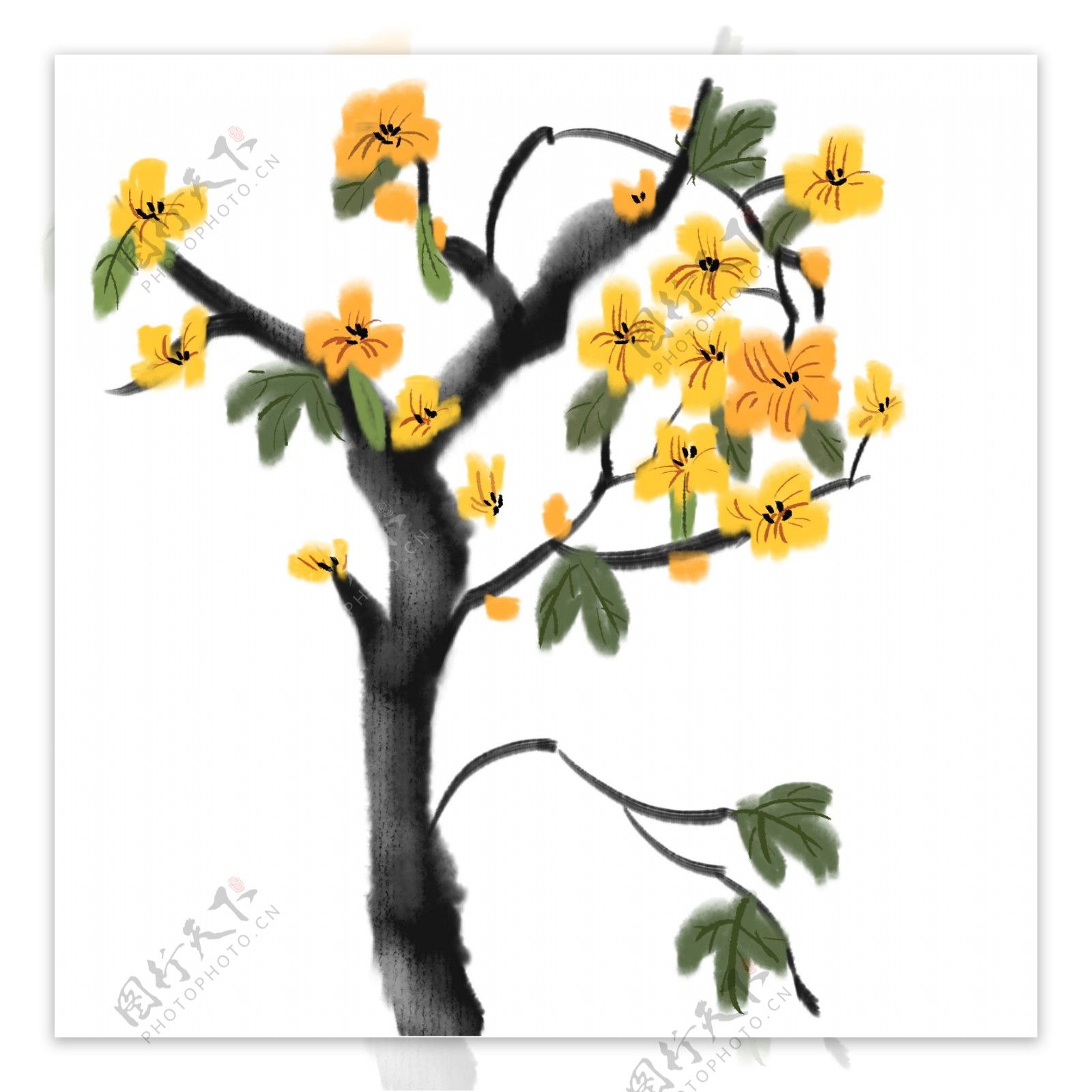 黄色花朵植物