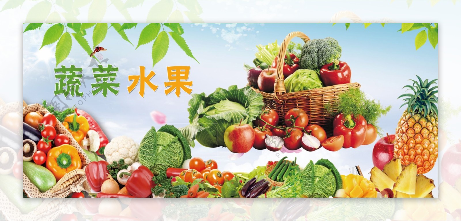 蔬菜水果展板