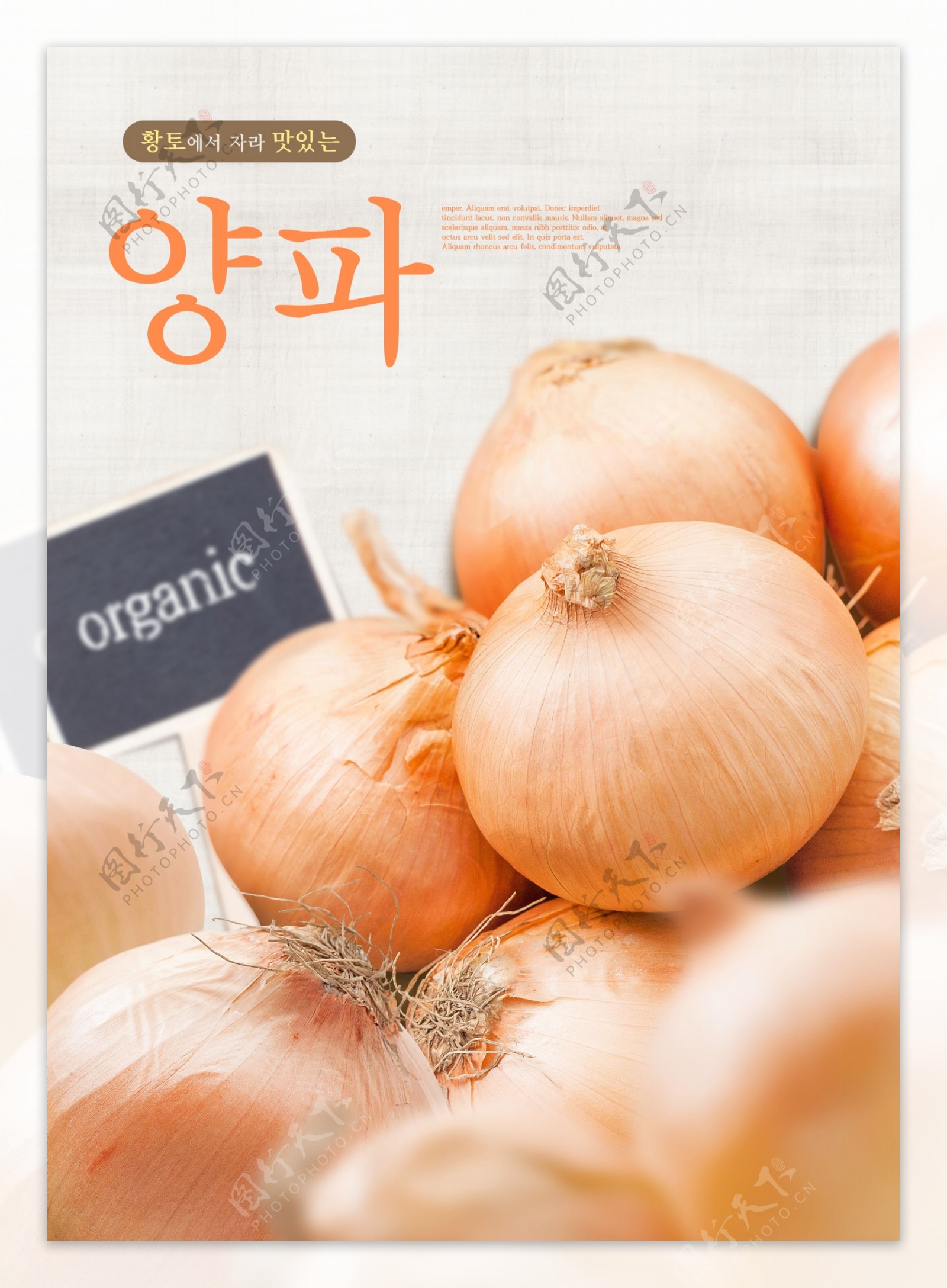 韩国海报韩国食品餐饮海报