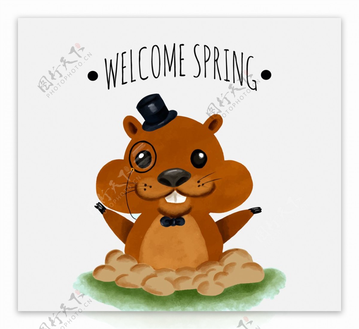 可爱迎接春天的土拨鼠
