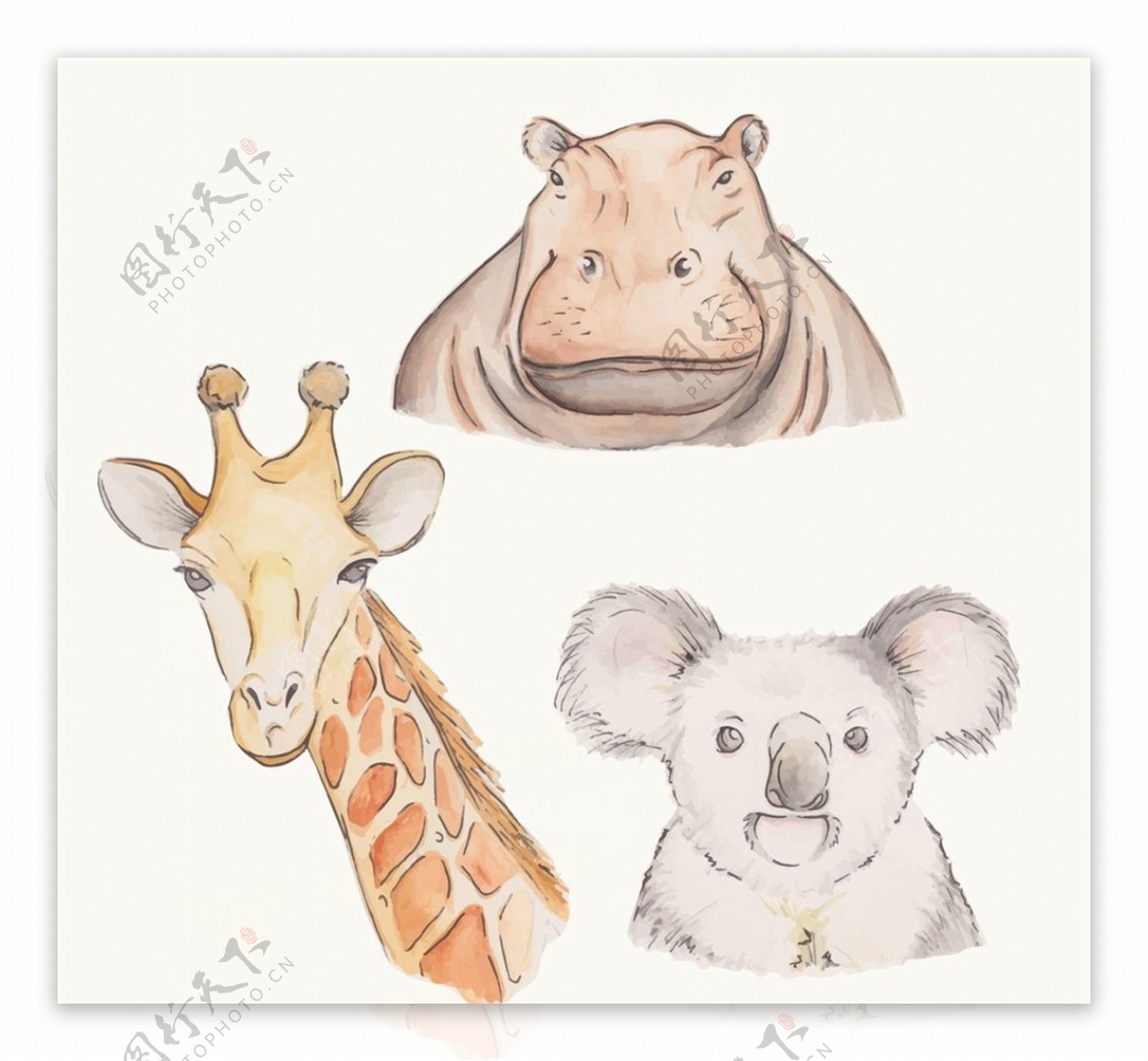 3款彩绘野生动物头像
