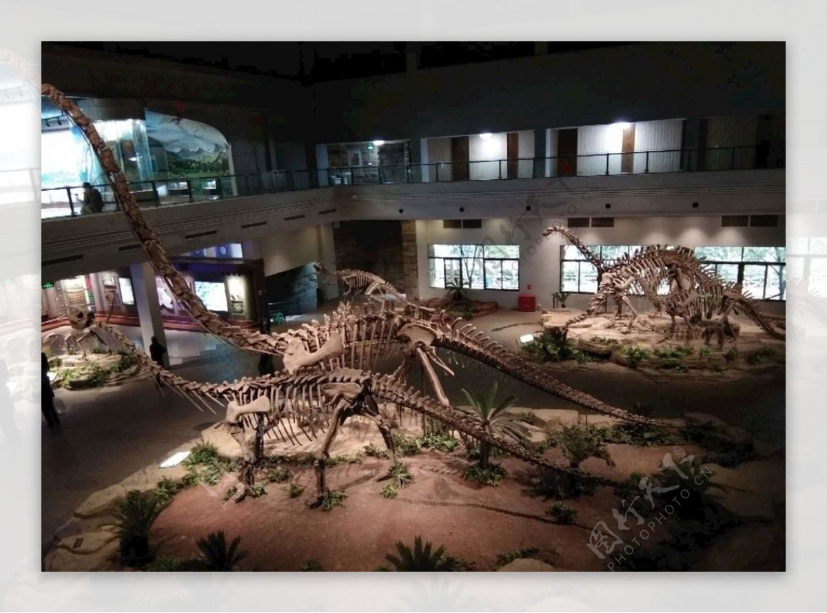 自贡恐龙恐龙博物馆