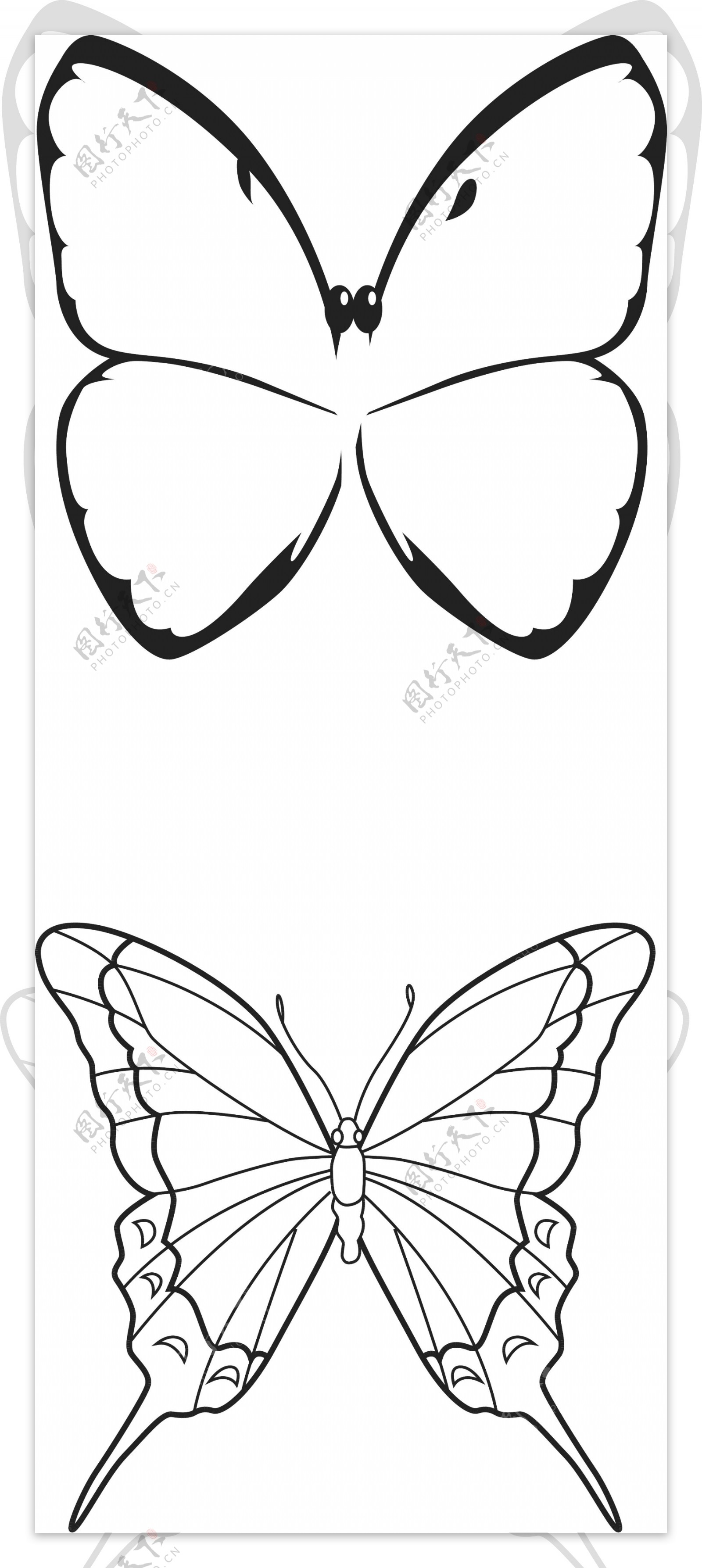 蝴蝶线描平面图