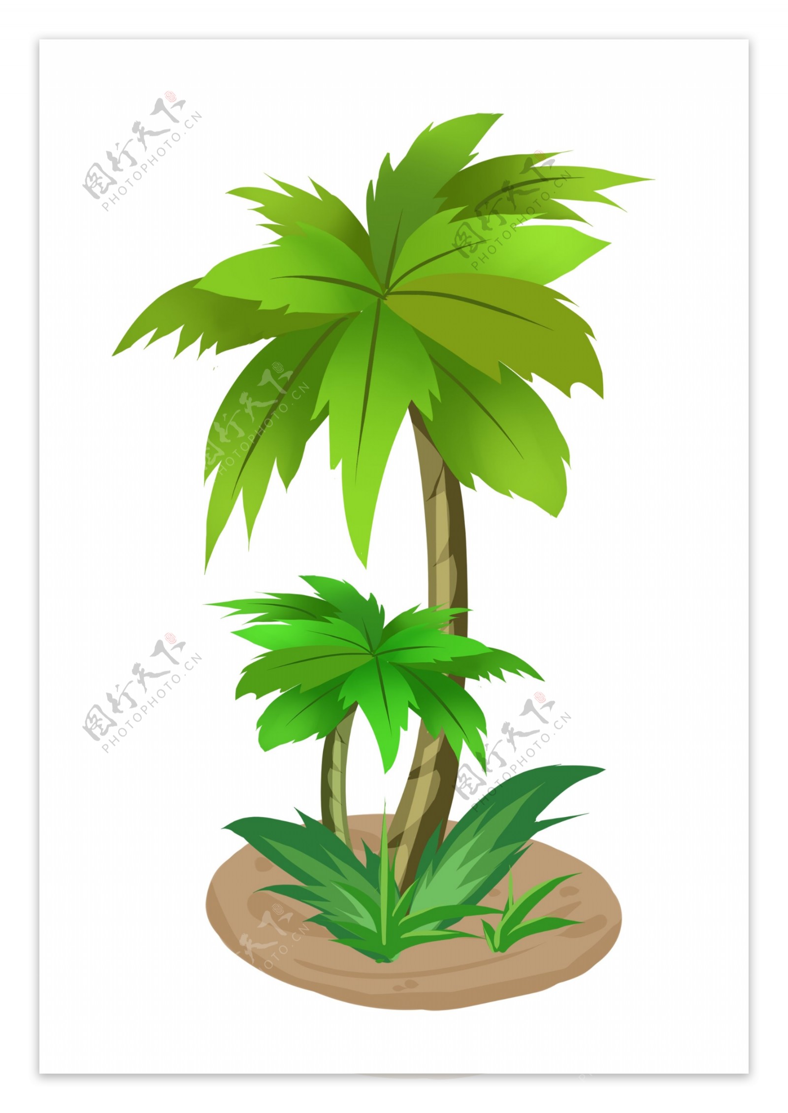 椰子树图片素材-编号25054078-图行天下