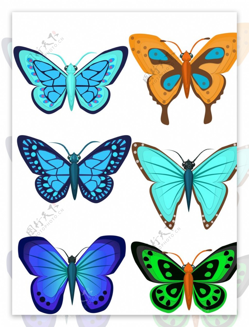 各种蝴蝶图片素材-编号16915031-图行天下
