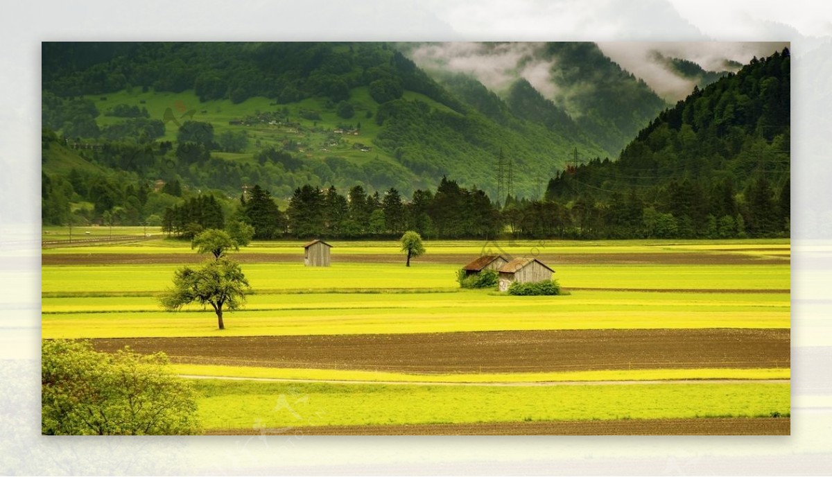 田野上的小房